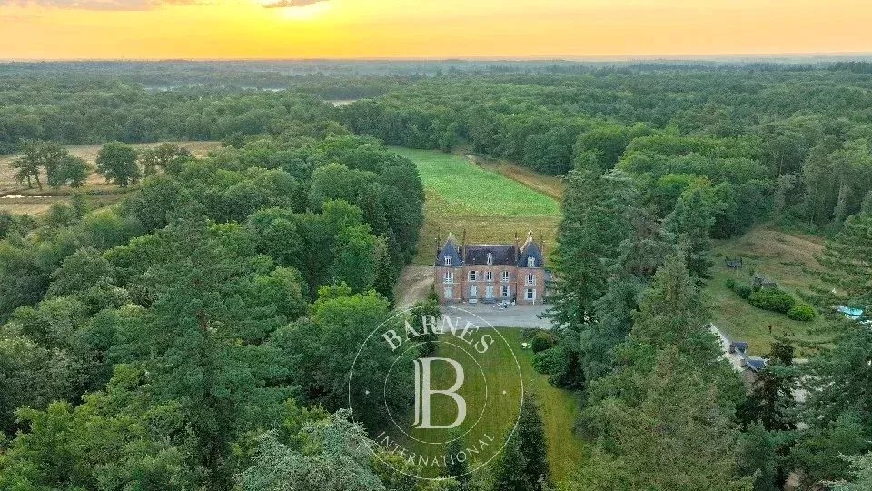 Lamotte-Beuvron  - Château 18 Pi&egrave;ces - picture 10