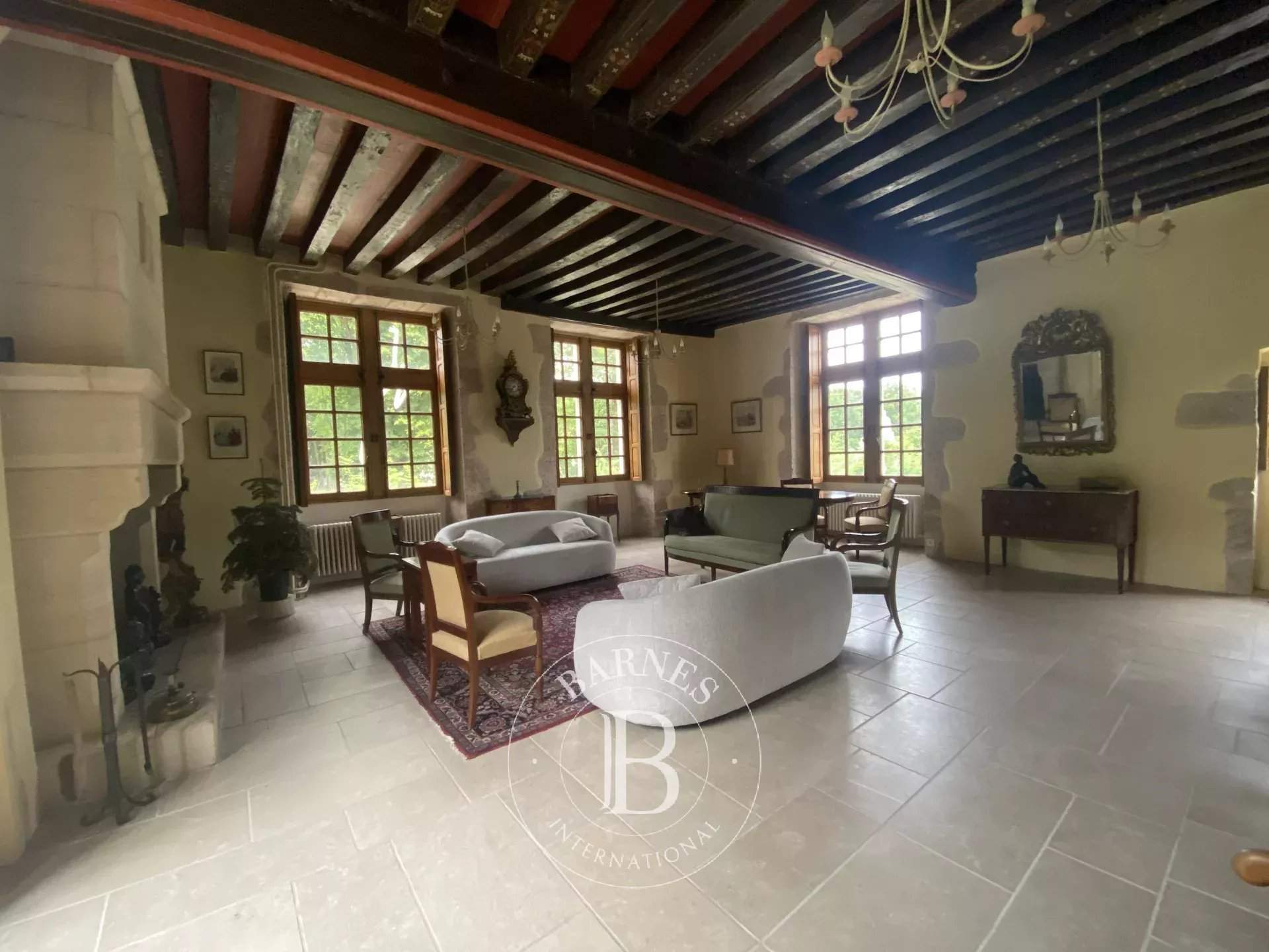 Cellettes  - Castle  - picture 5