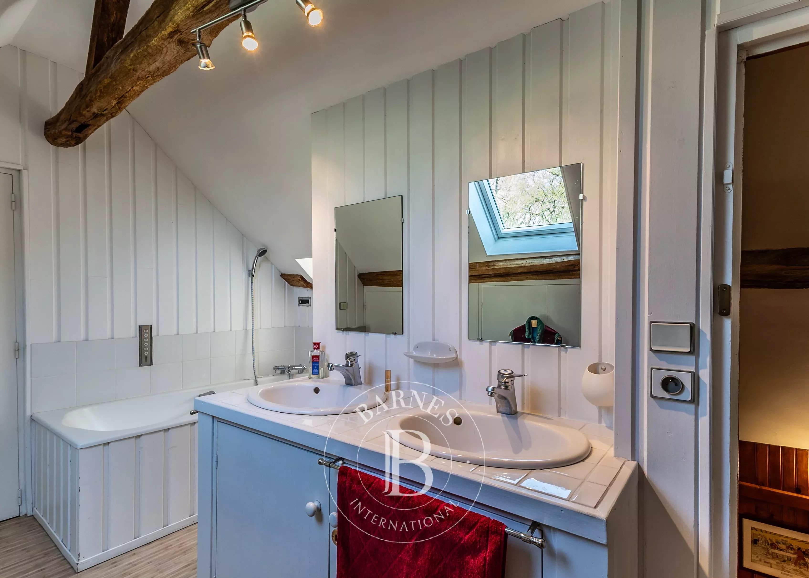 Cheverny  - Fermette 13 Pi&egrave;ces 8 Chambres - picture 11