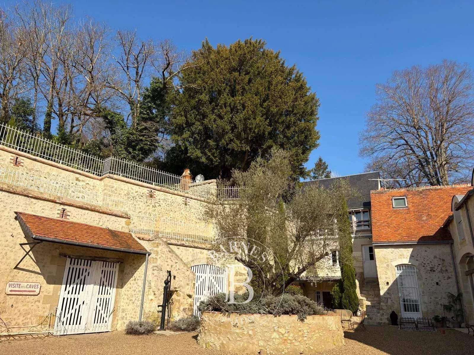 Vouvray  - Propriété 12 Pi&egrave;ces 5 Chambres - picture 9