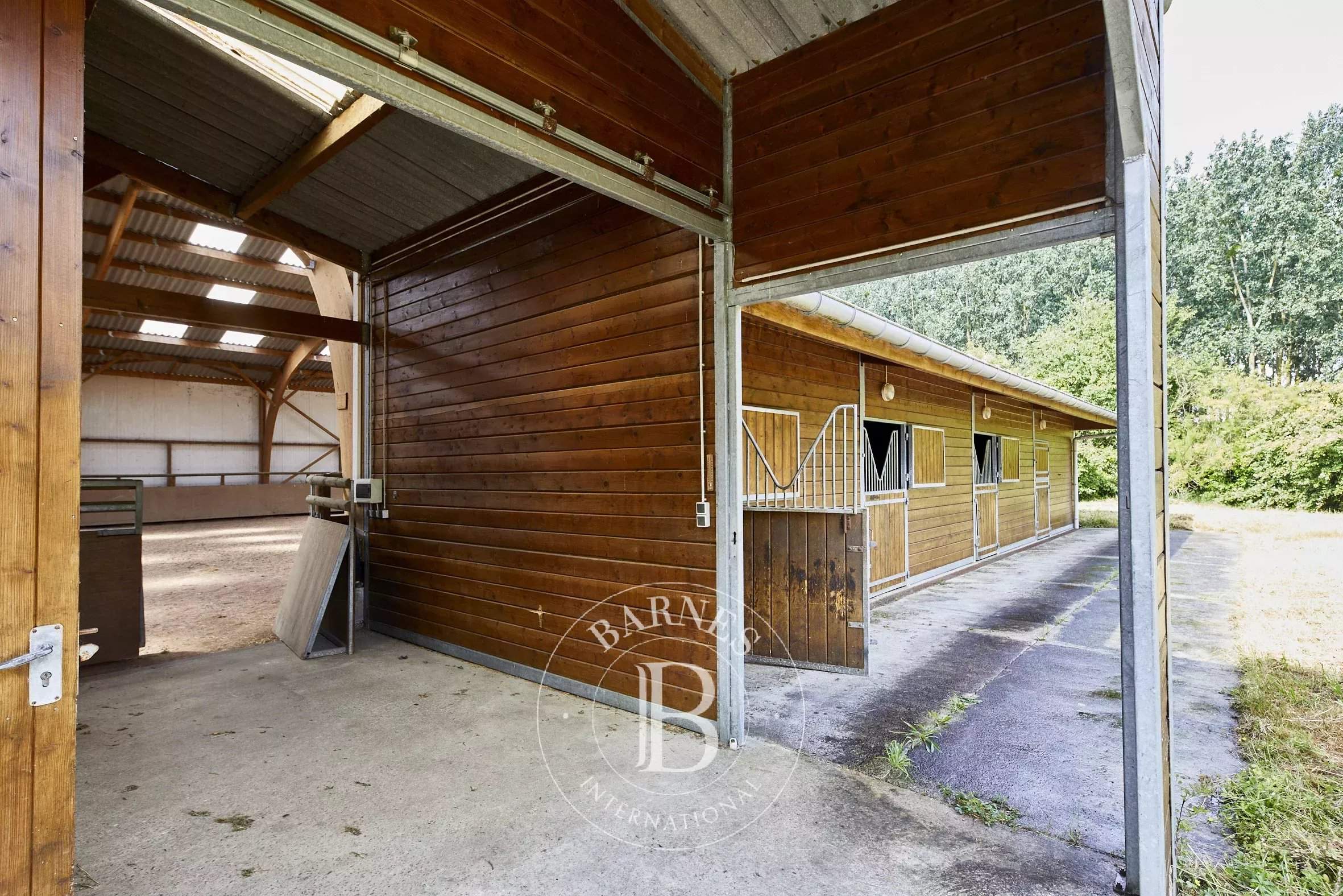 Baugé-en-Anjou  - Domaine équestre 12 Pi&egrave;ces 7 Chambres - picture 19