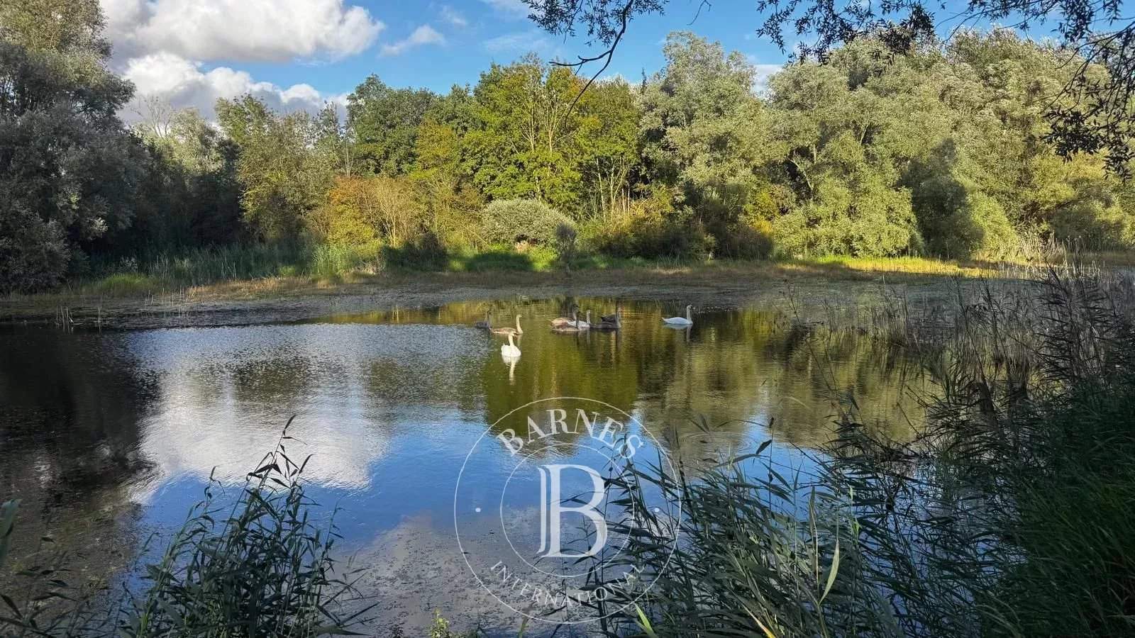 Villeneuve-sur-Conie  - House 8 Bedrooms - picture 15