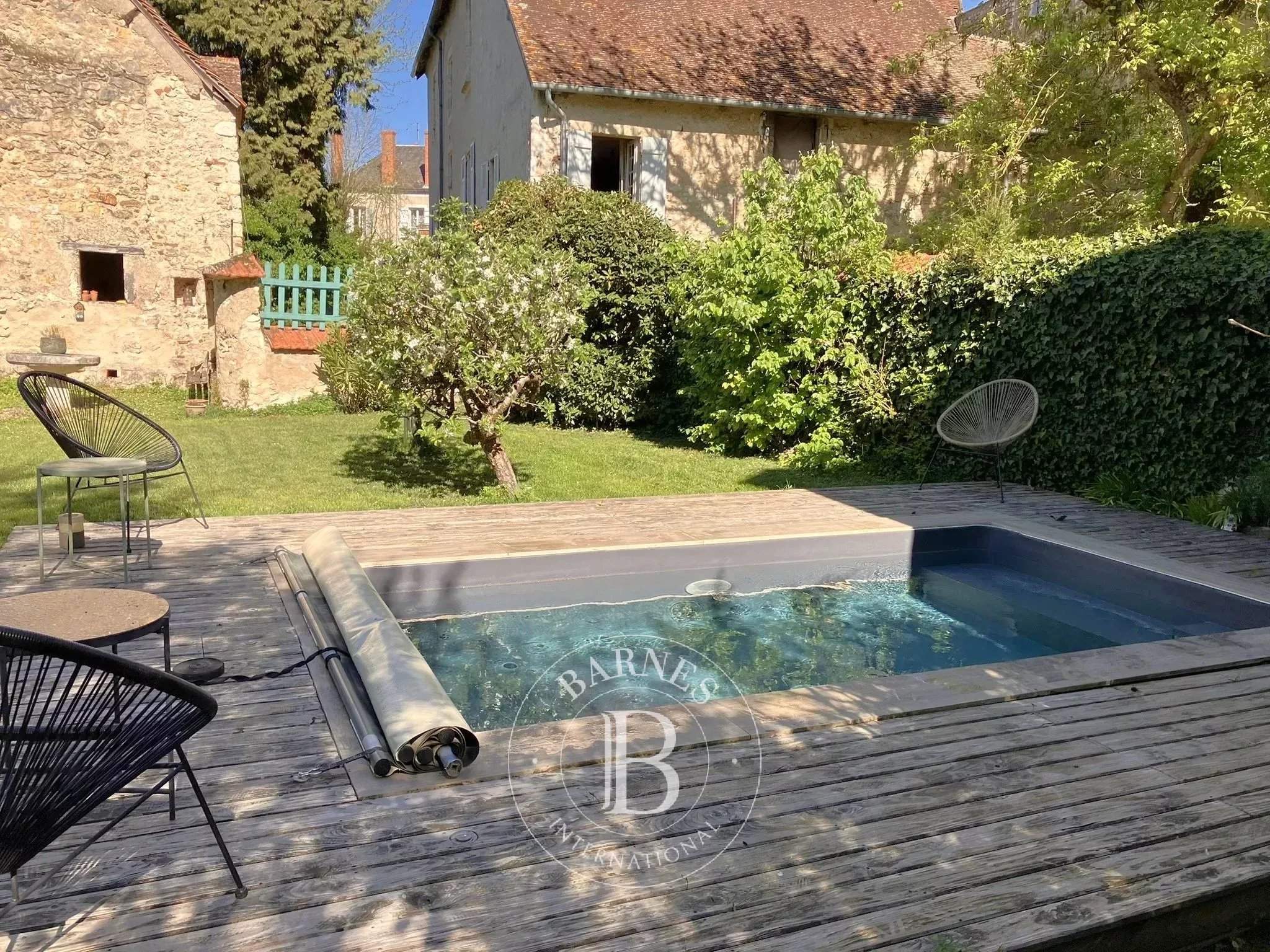 Mehun-sur-Yèvre  - Hôtel particulier  - picture 15