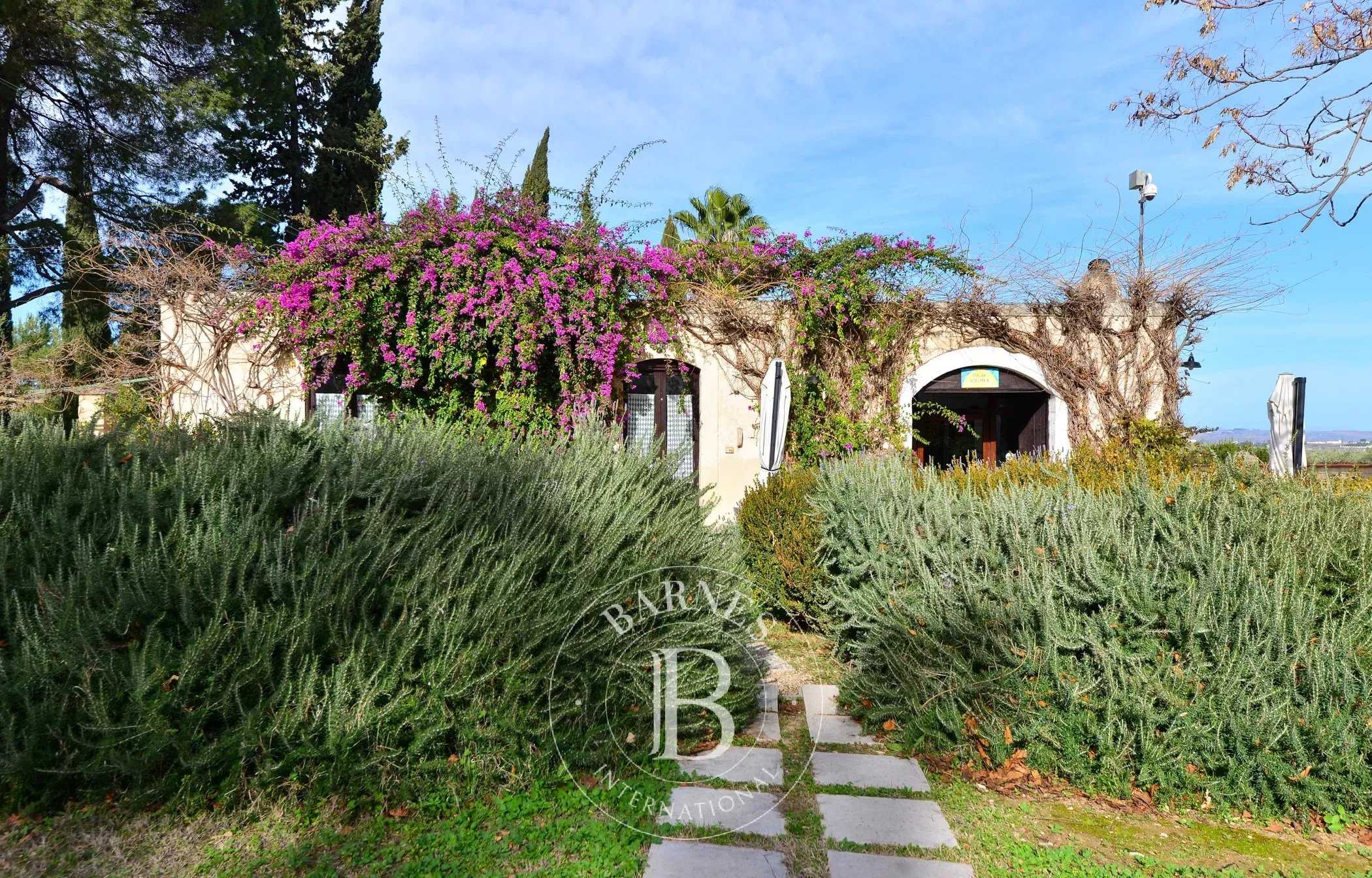 Canosa Di Puglia  - Casa 33 Cuartos 16 Habitaciones