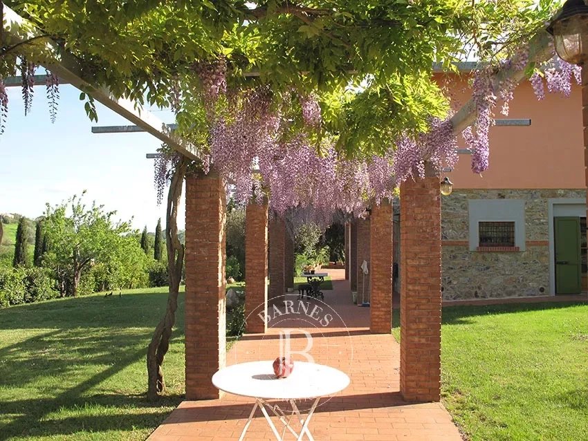 Magliano in Toscana  - Cottage 3 Bedrooms - picture 4