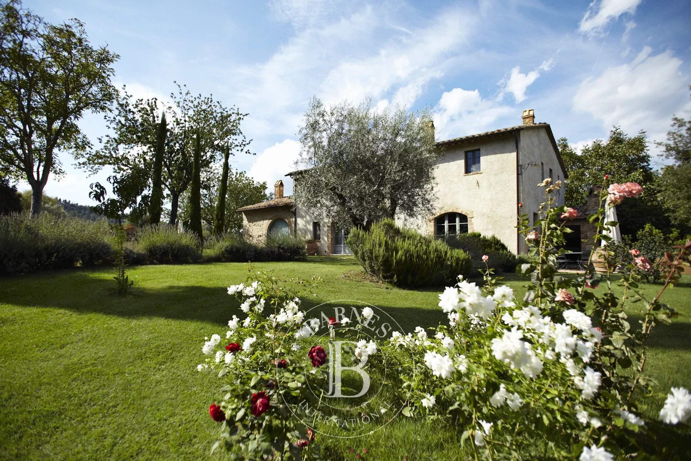 Cetona  - Cottage 6 Bedrooms - picture 3