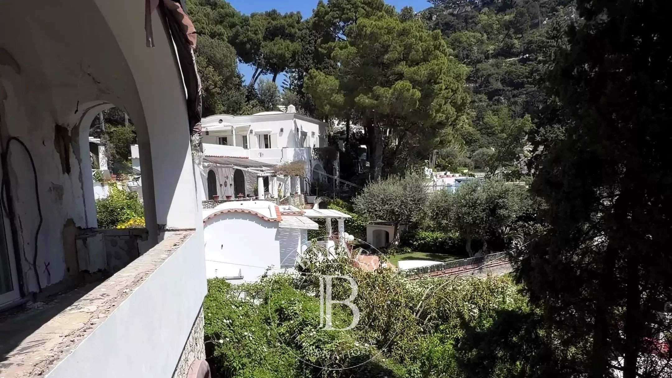 Capri  - Villa 10 Pi&egrave;ces 5 Chambres - picture 7