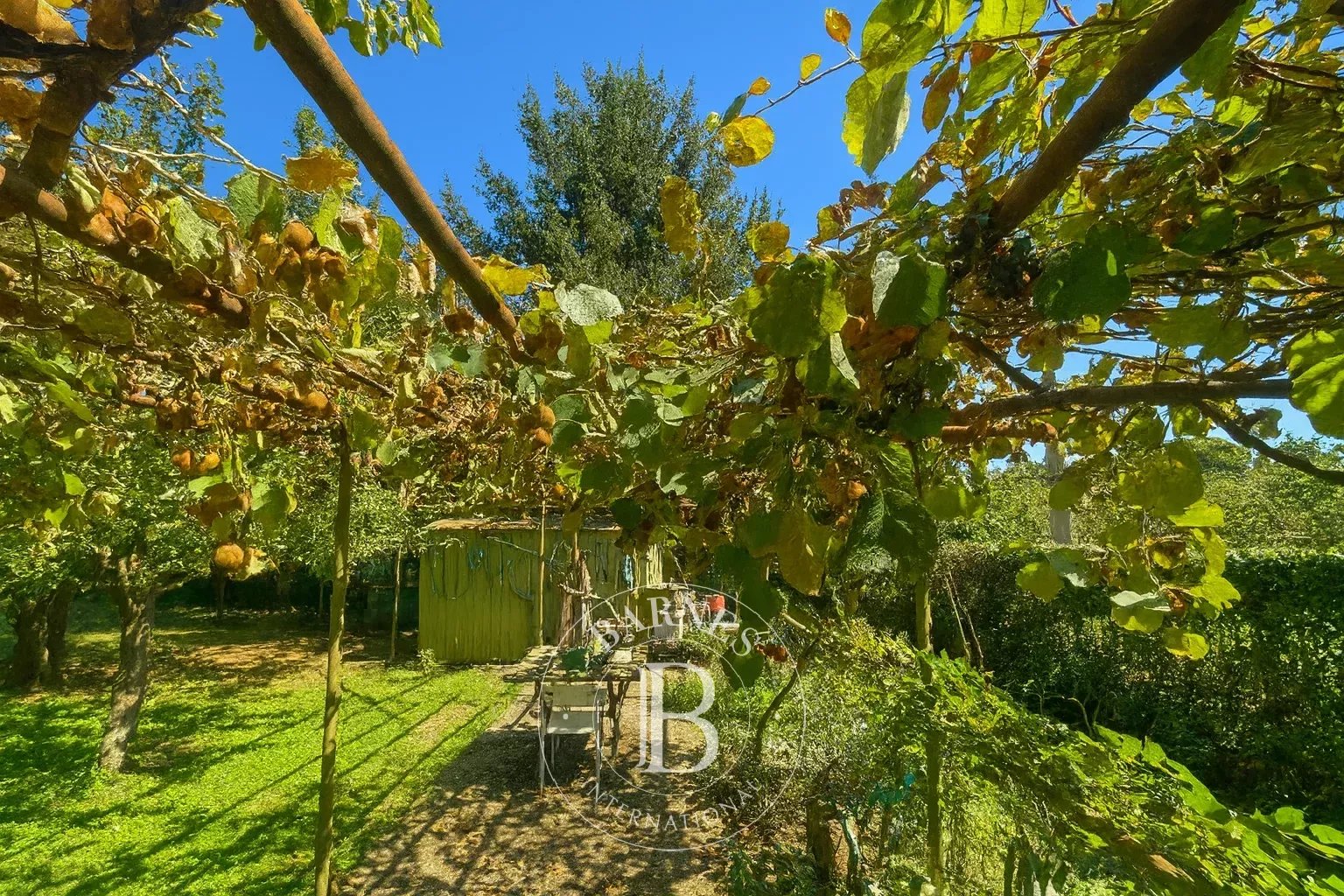 Ronciglione  - Villa 13 Cuartos 6 Habitaciones - picture 6