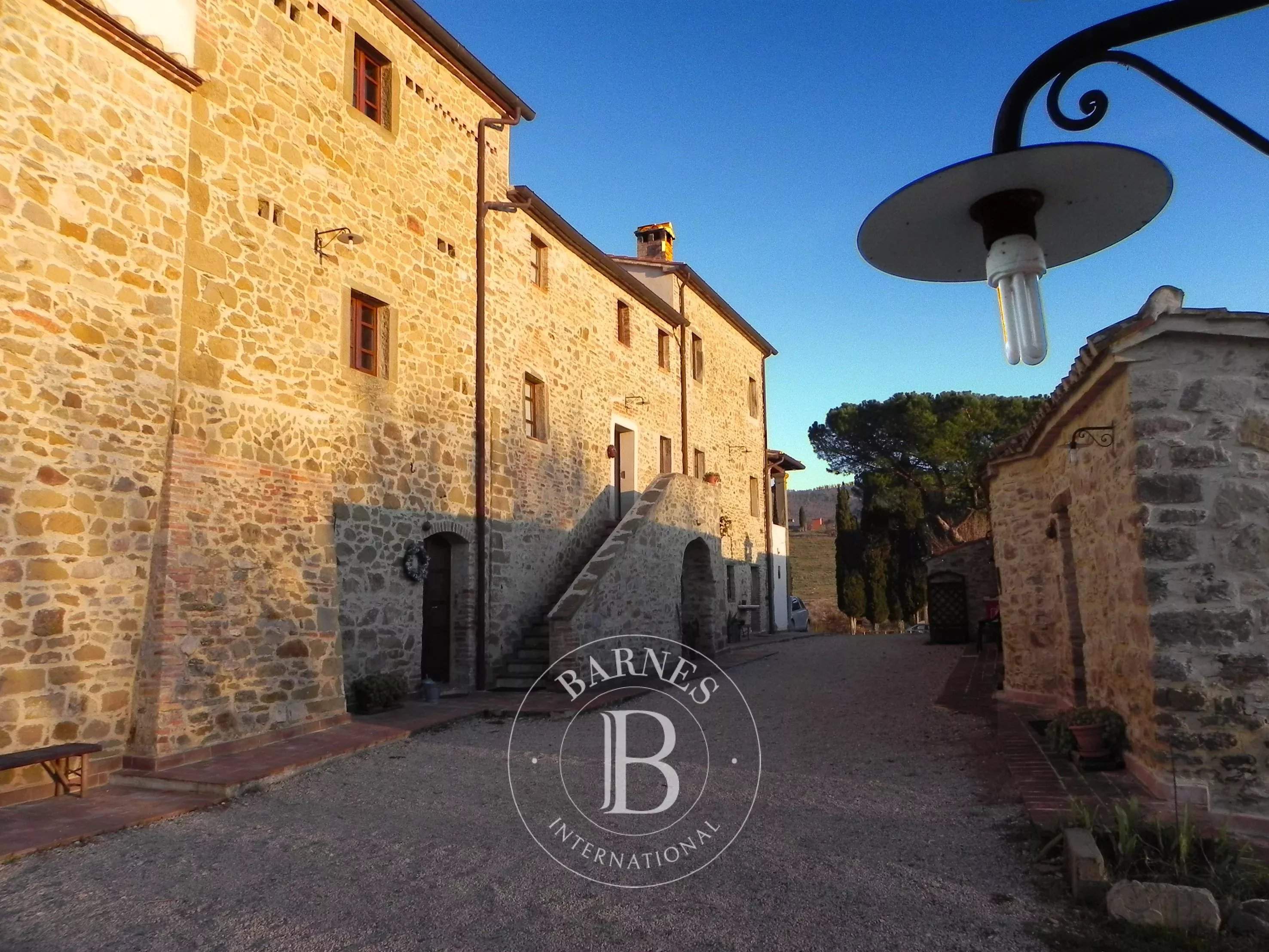 Lisciano Niccone  - Manor house 10 Bedrooms - picture 7