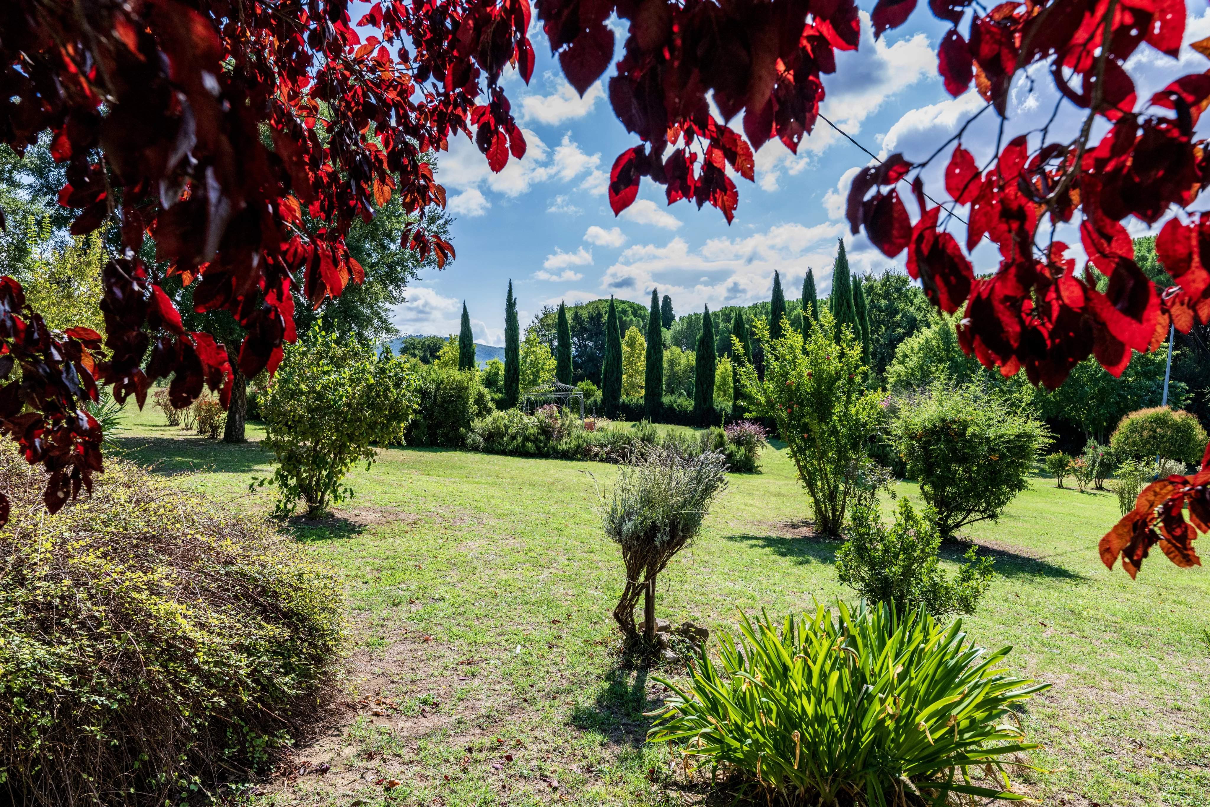 Cortona  - Villa 20 Bedrooms - picture 15