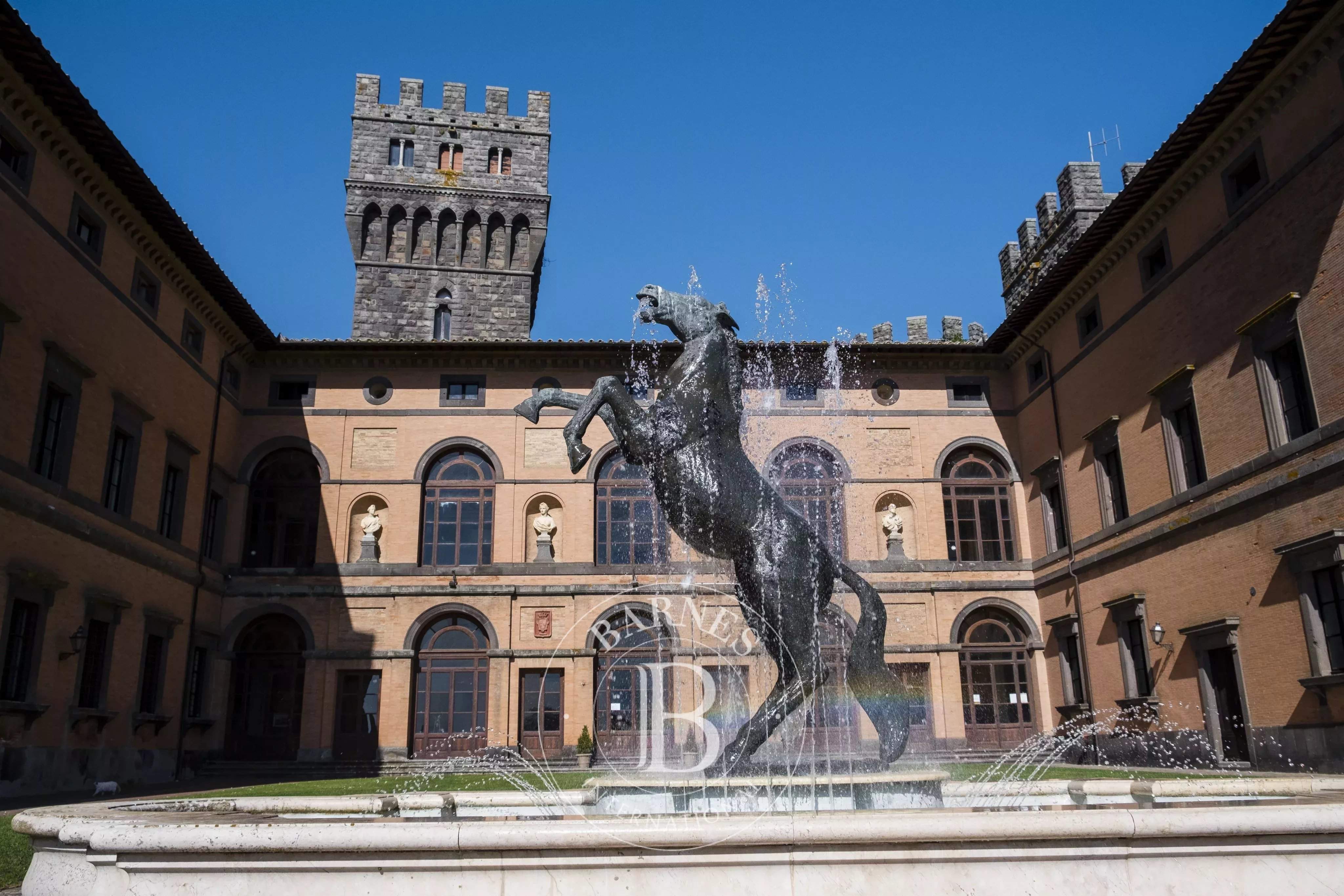 Acquapendente  - Castle 15 Bedrooms - picture 15