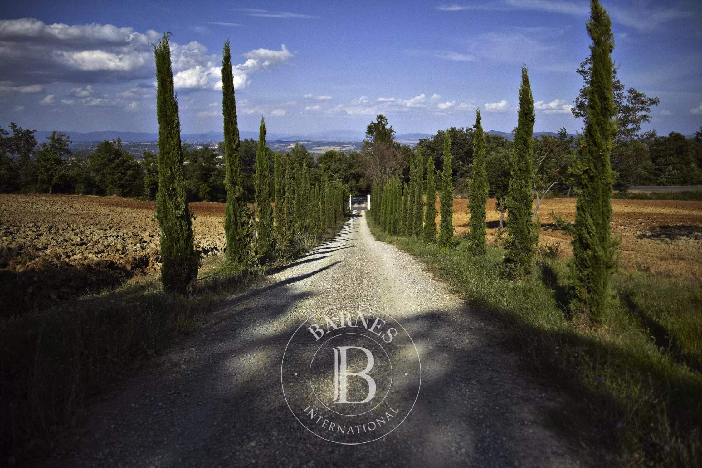 Cetona  - Cottage 6 Bedrooms - picture 12