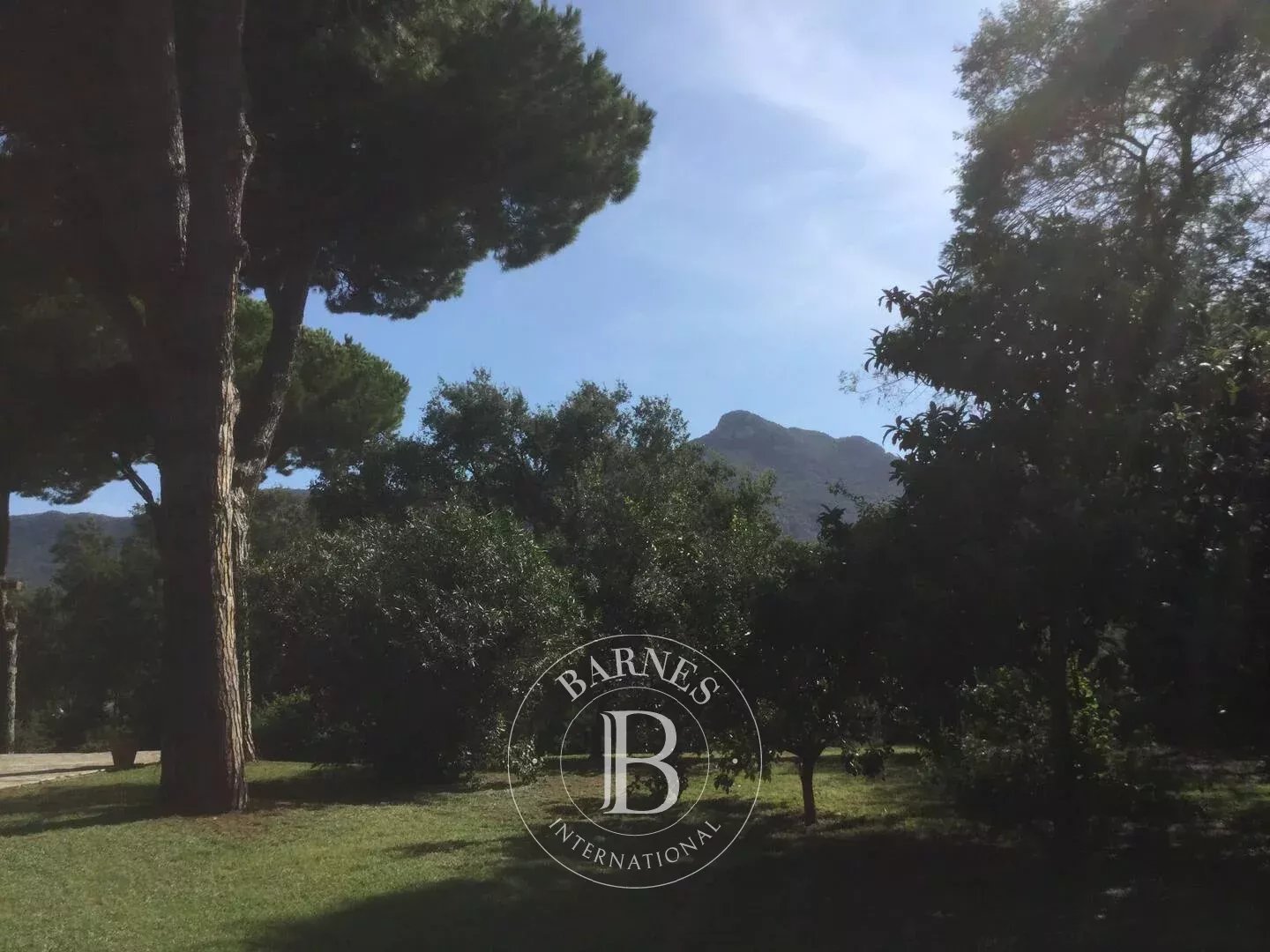 Sabaudia  - Villa 3 Bedrooms - picture 14