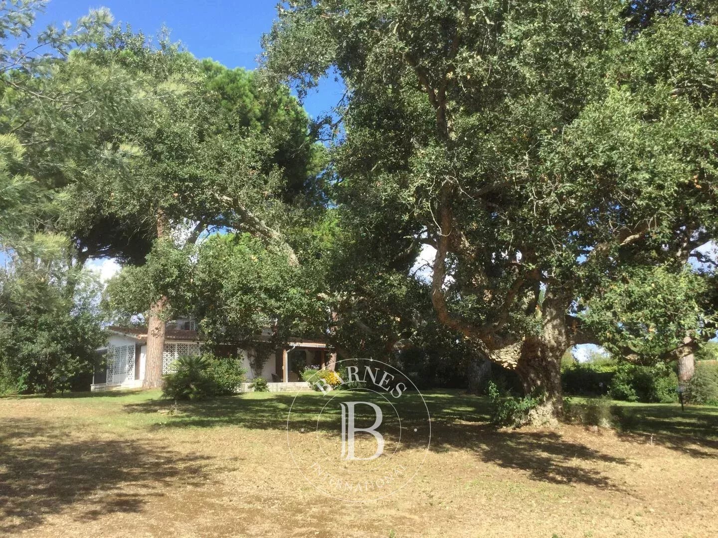 Sabaudia  - Villa 3 Bedrooms - picture 12