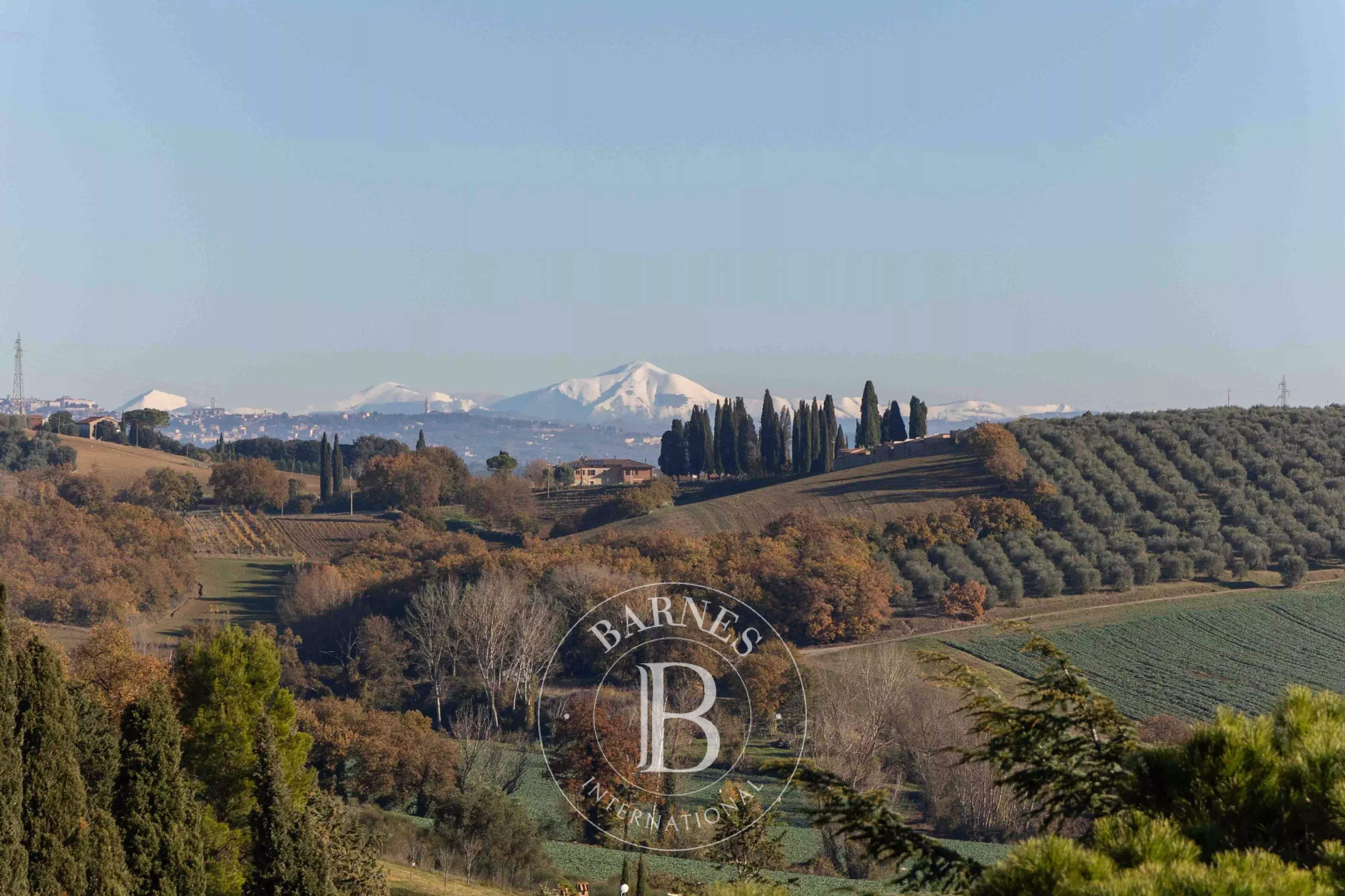 Marsciano  - Château 30 Pi&egrave;ces 9 Chambres - picture 9