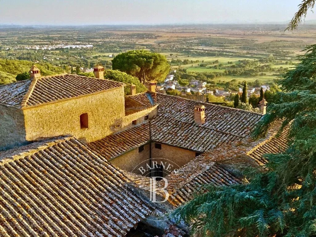 Arezzo  - Castle 40 Bedrooms - picture 19