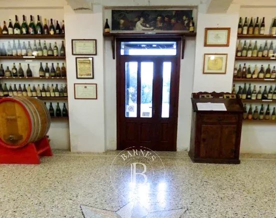 San Giorgio della Richinvelda  - Castle 10 Bedrooms - picture 15