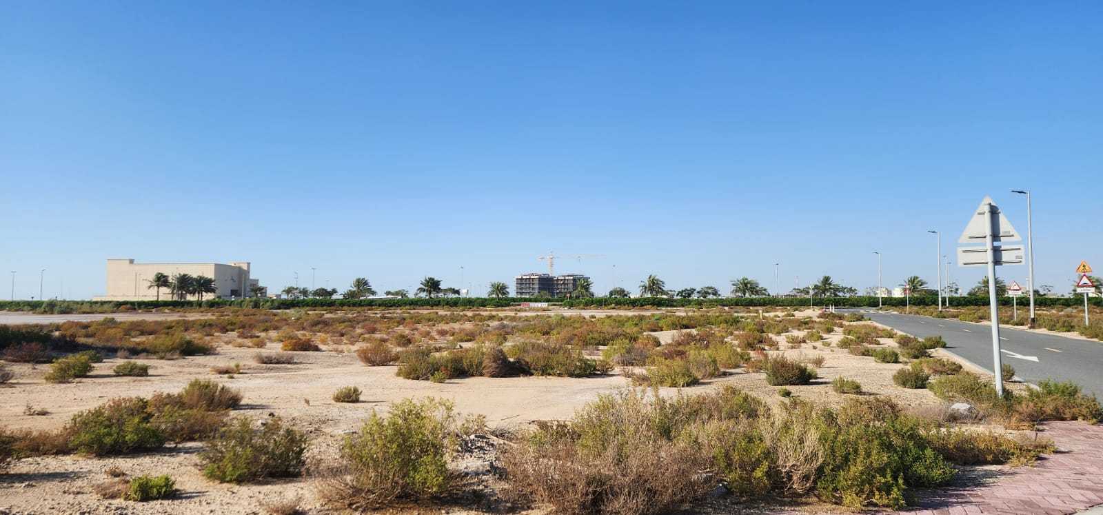 Jebel Ali  - Terrain 