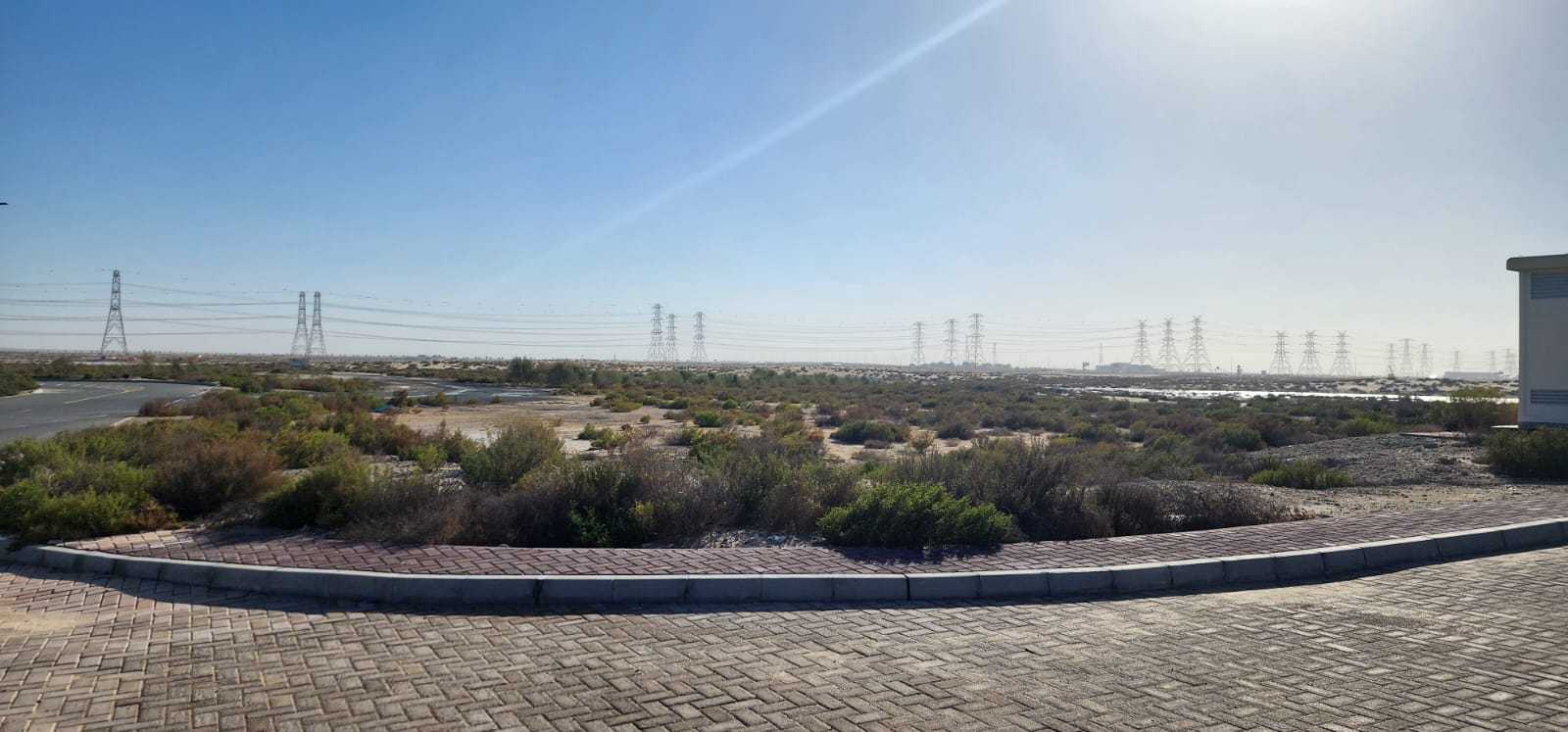 Jebel Ali  - Terrain 