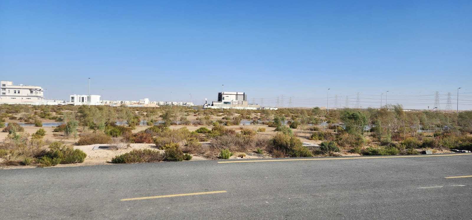 Jebel Ali  - Terrain 