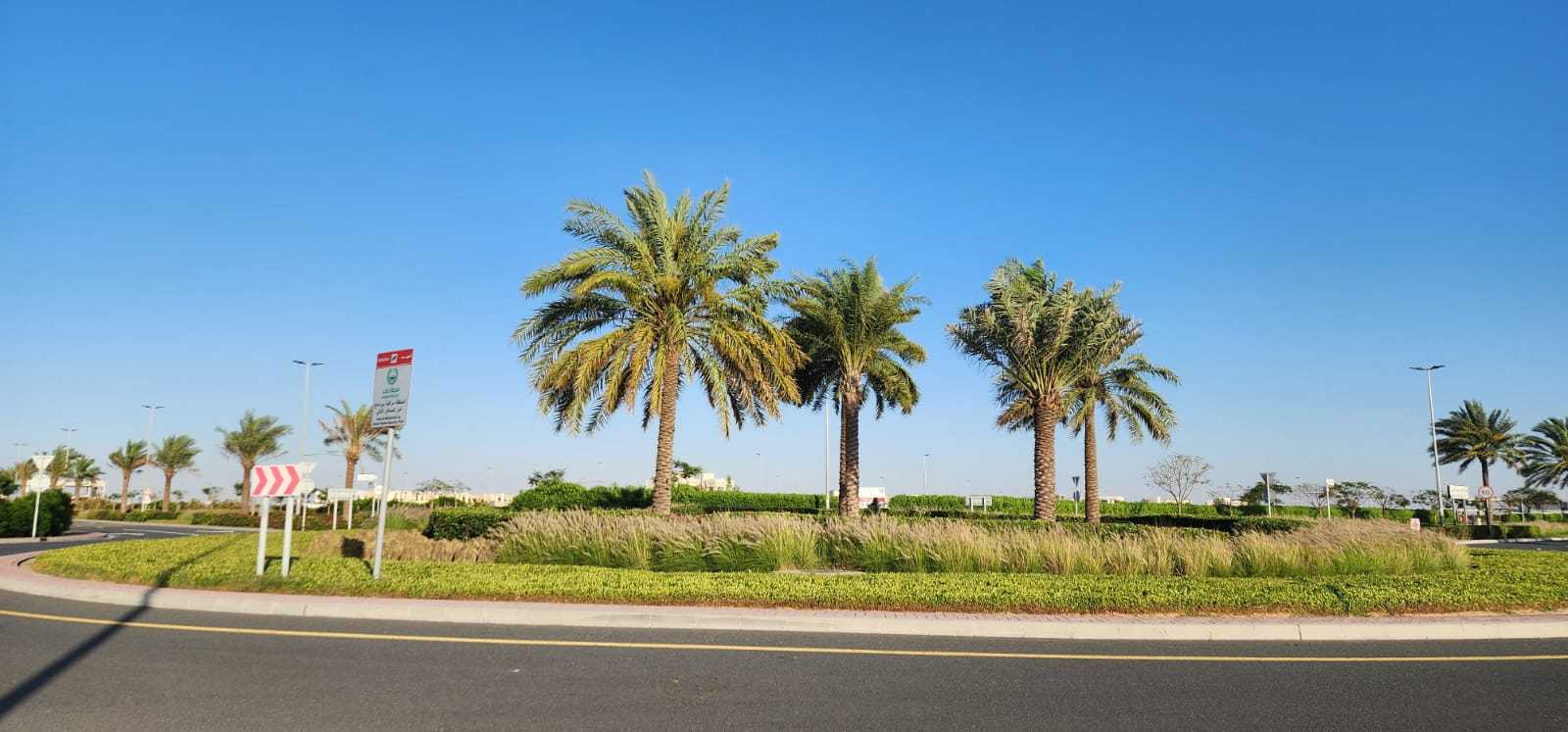 Jebel Ali  - Terrain 