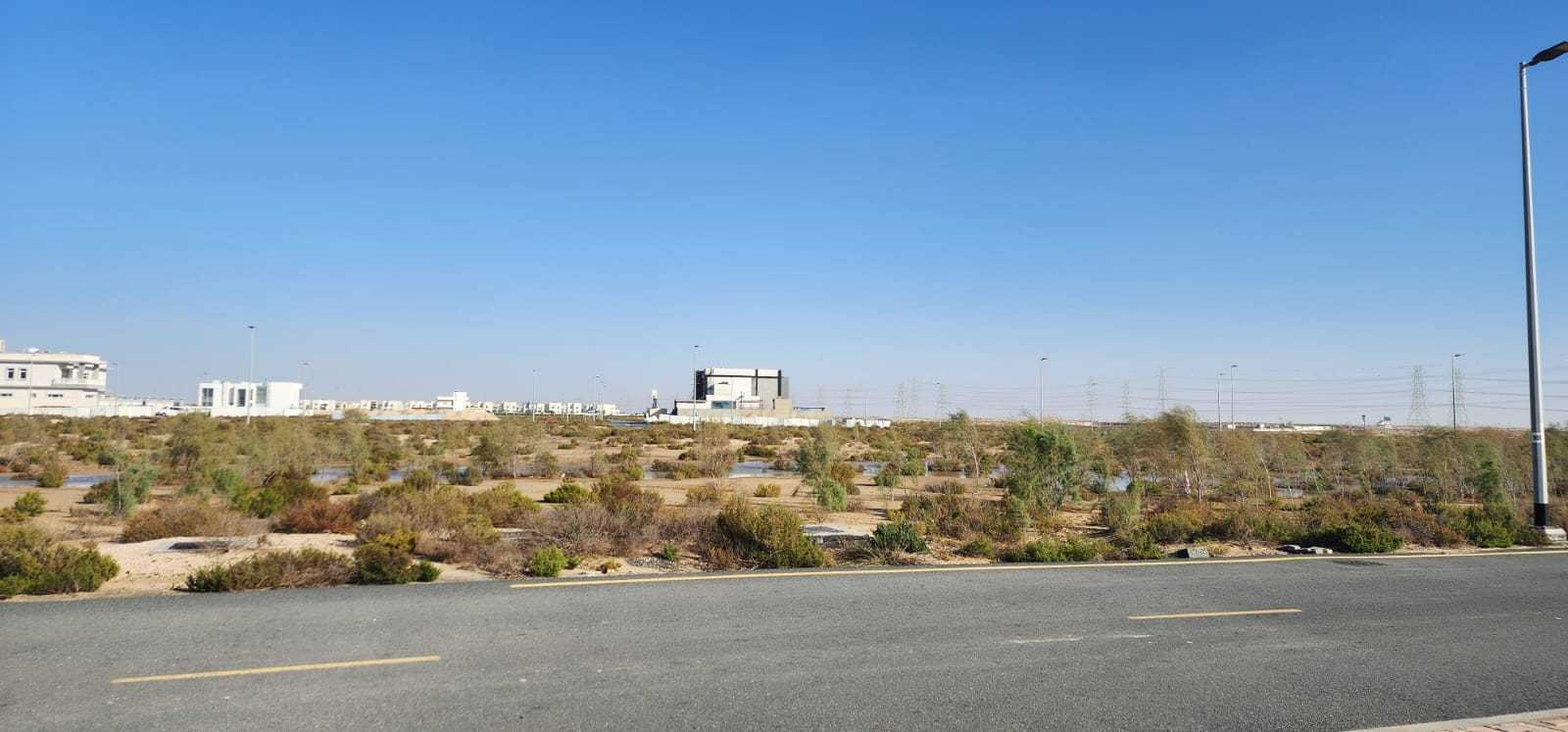 Jebel Ali  - Terrain 