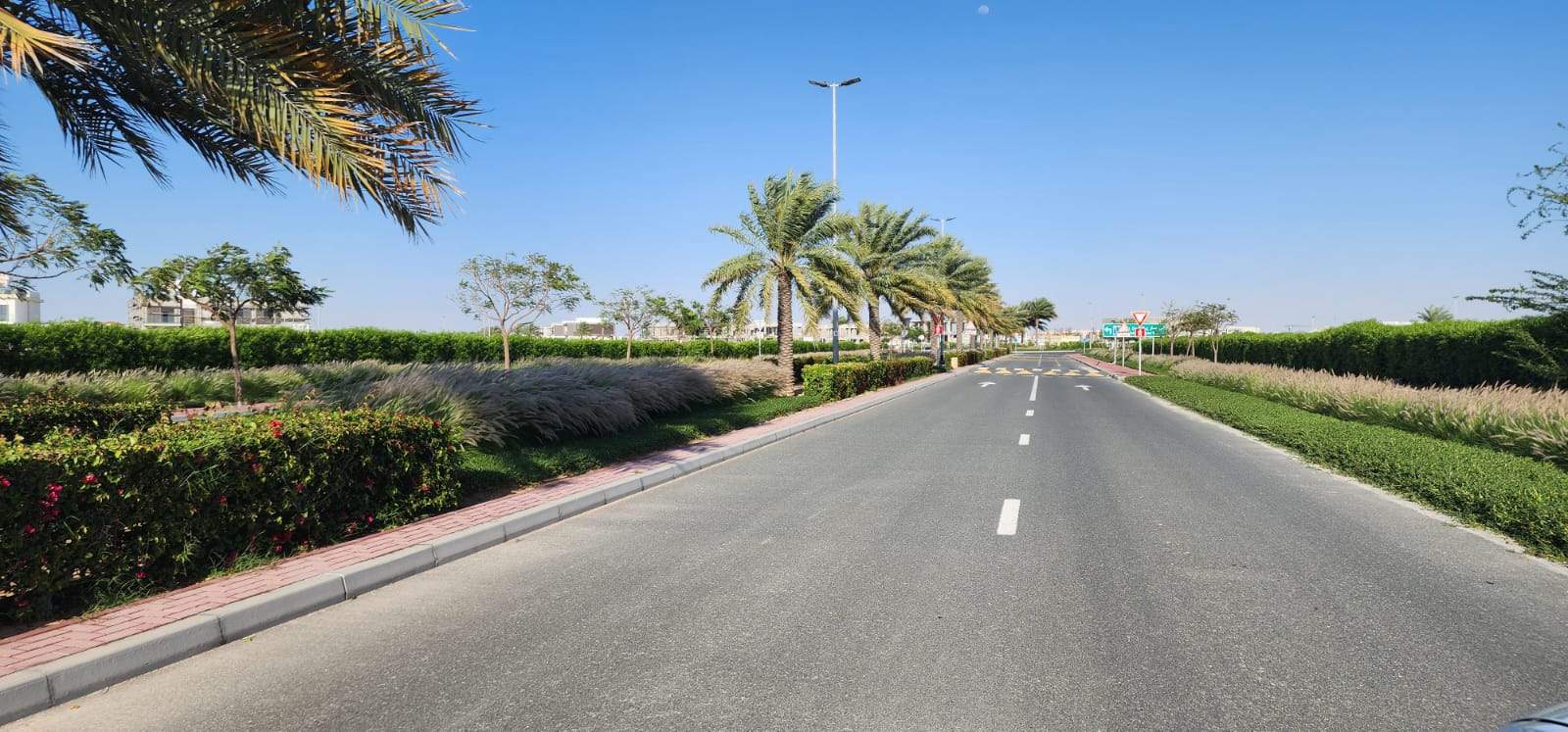 Jebel Ali  - Terrain  - picture 8