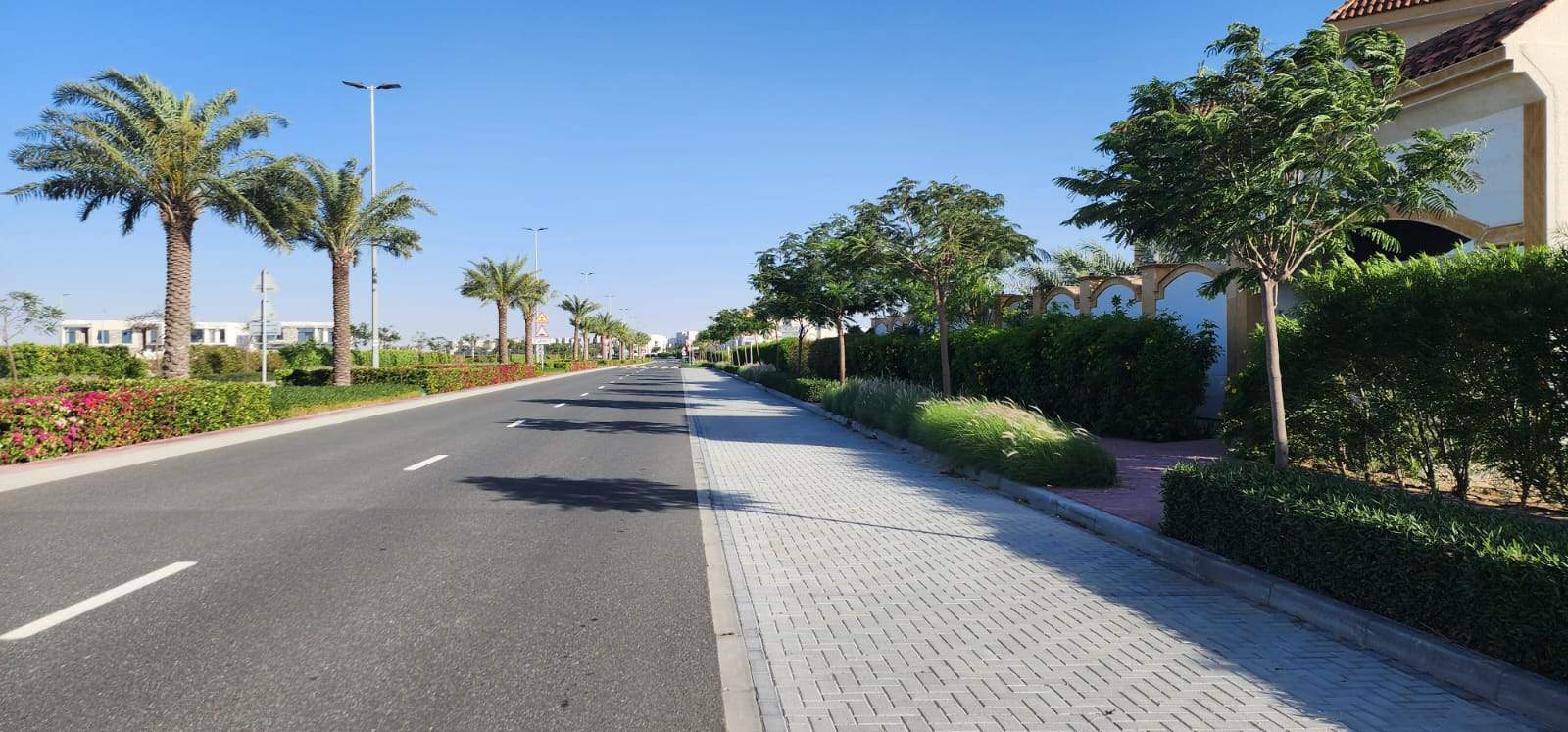 Jebel Ali  - Terrain  - picture 12