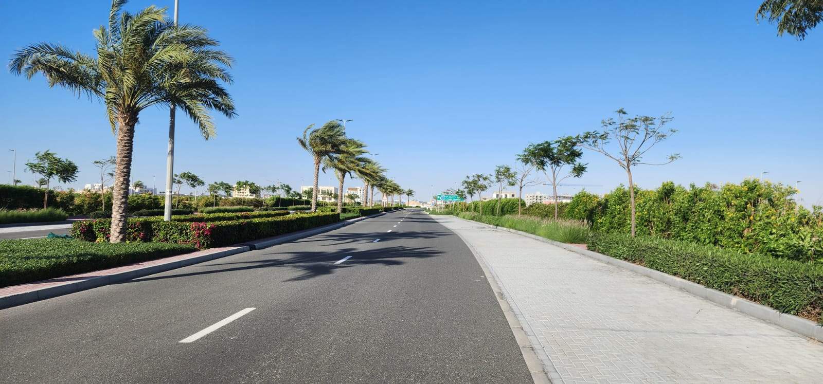 Jebel Ali  - Terrain  - picture 14