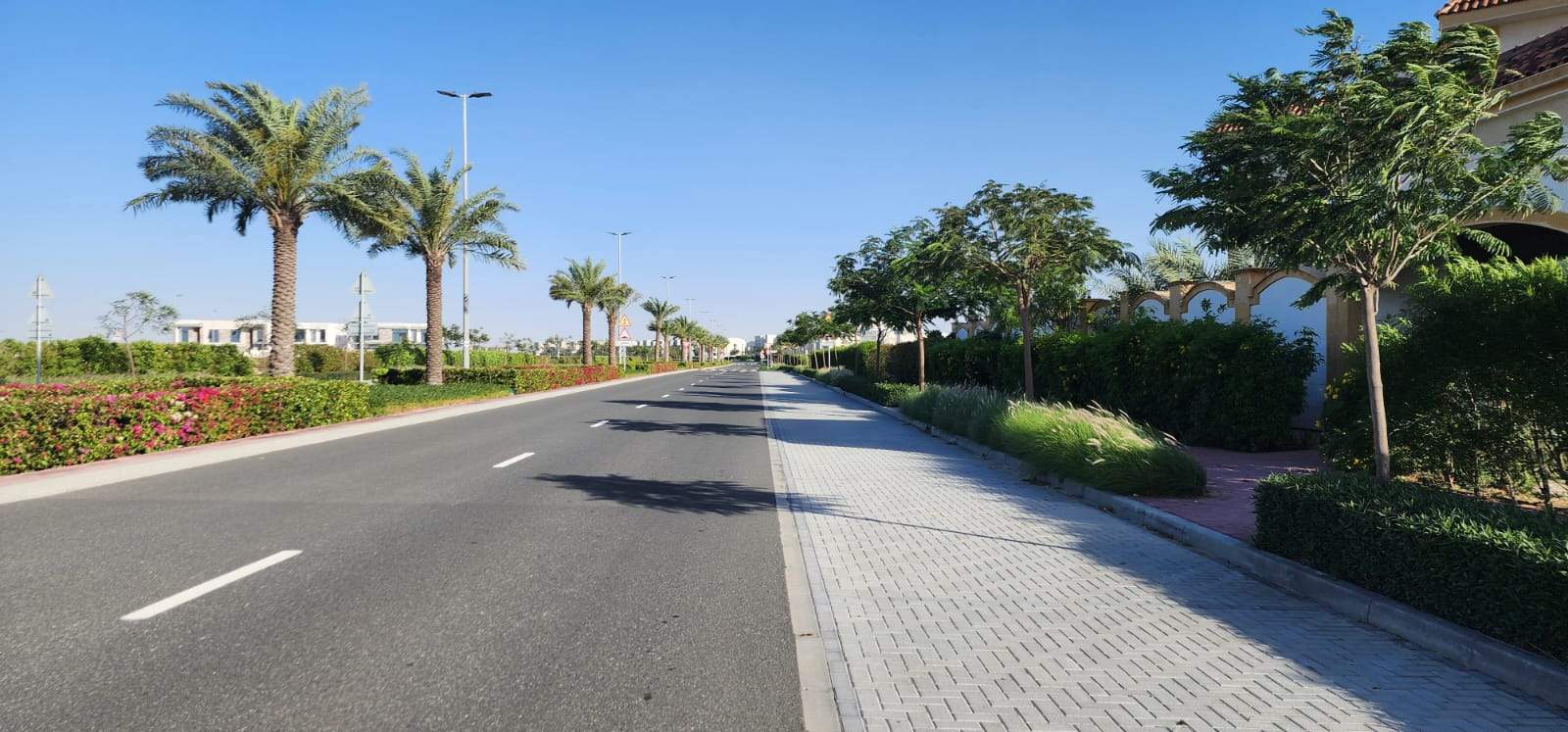 Jebel Ali  - Terrain  - picture 8