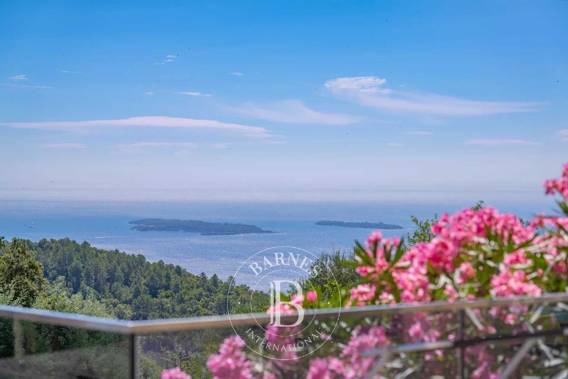 Villa Mandelieu-la-Napoule  -  ref 86095019 (picture 2)