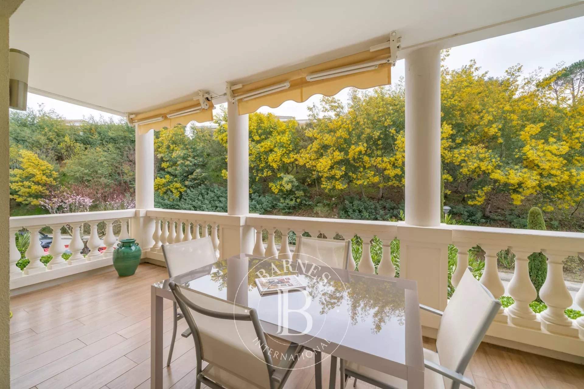 Mandelieu-la-Napoule  - Apartment  - picture 1