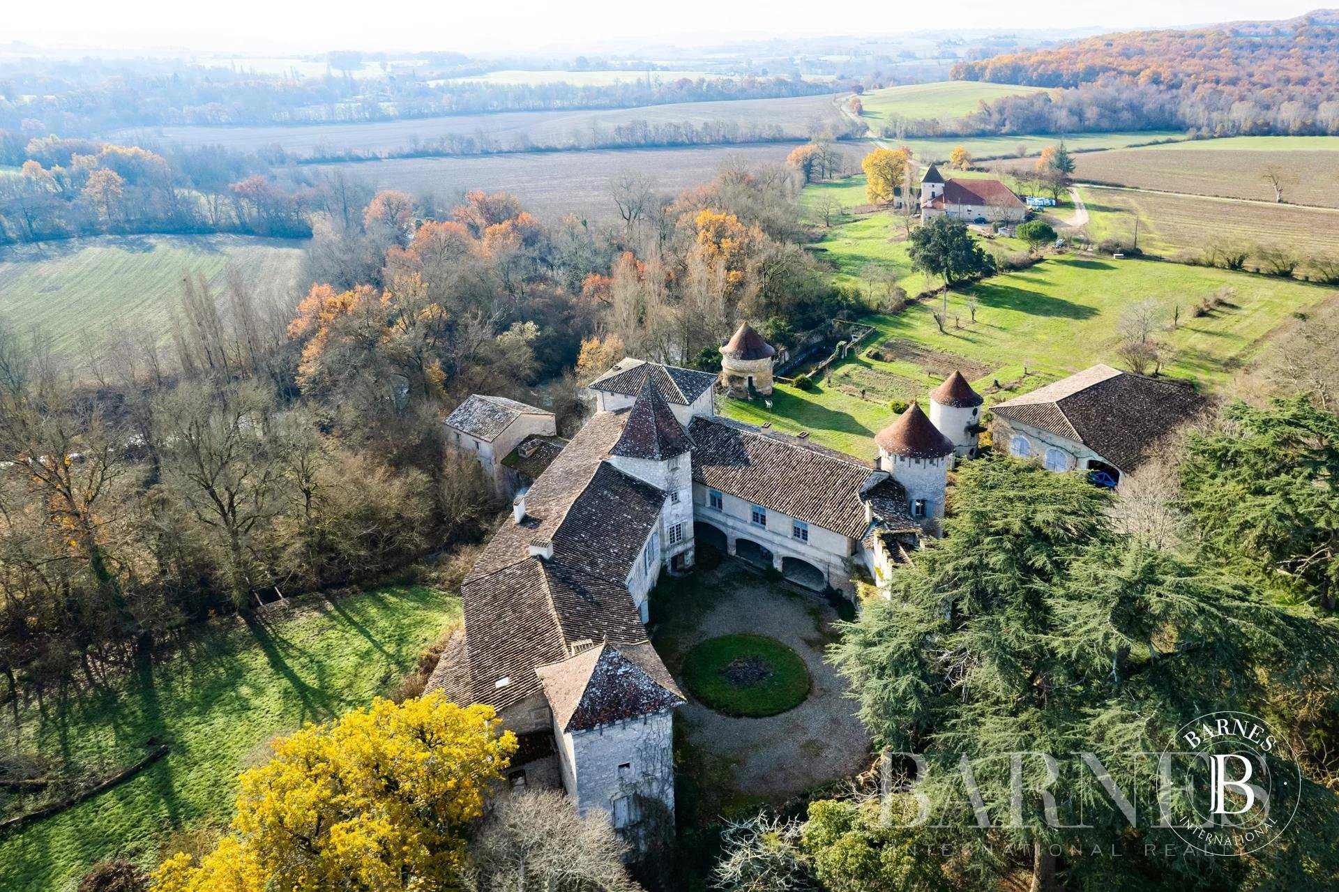 Lectoure  - Château 25 Pièces 9 Chambres
