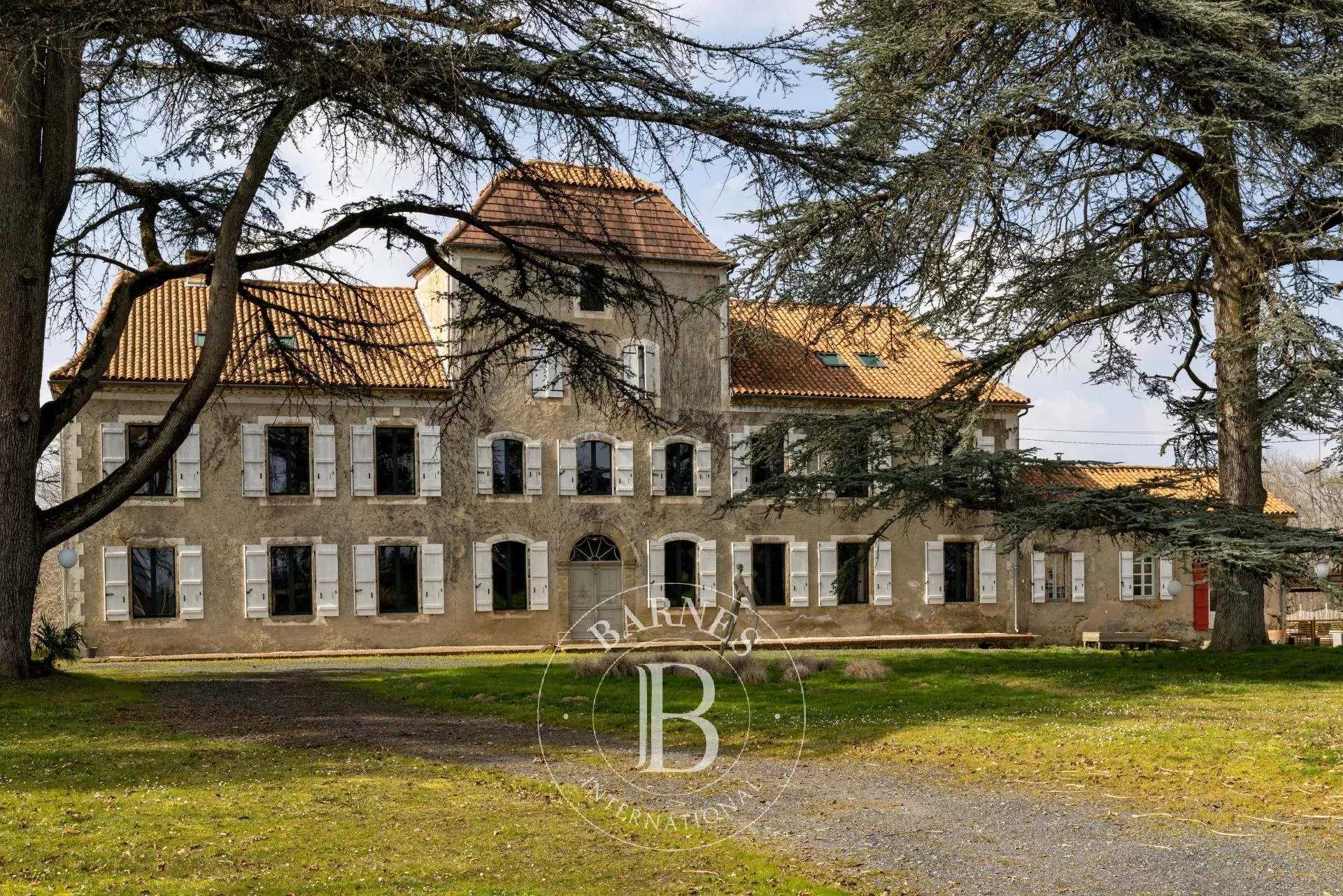 Nogaro  - Château 17 Pièces 12 Chambres