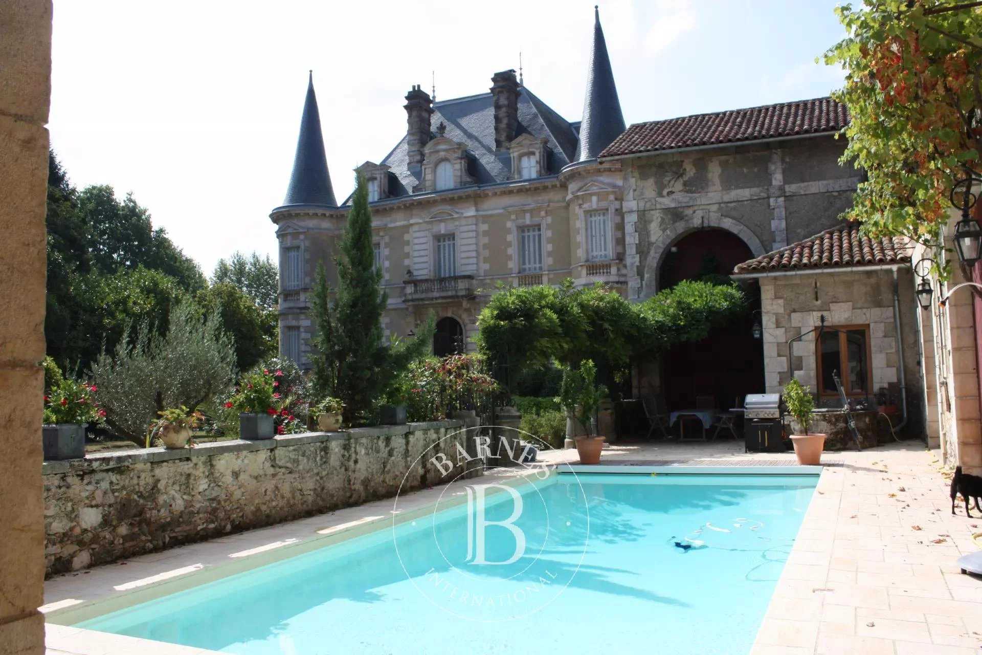 Château Peyrehorade  -  ref 5033382 (picture 3)