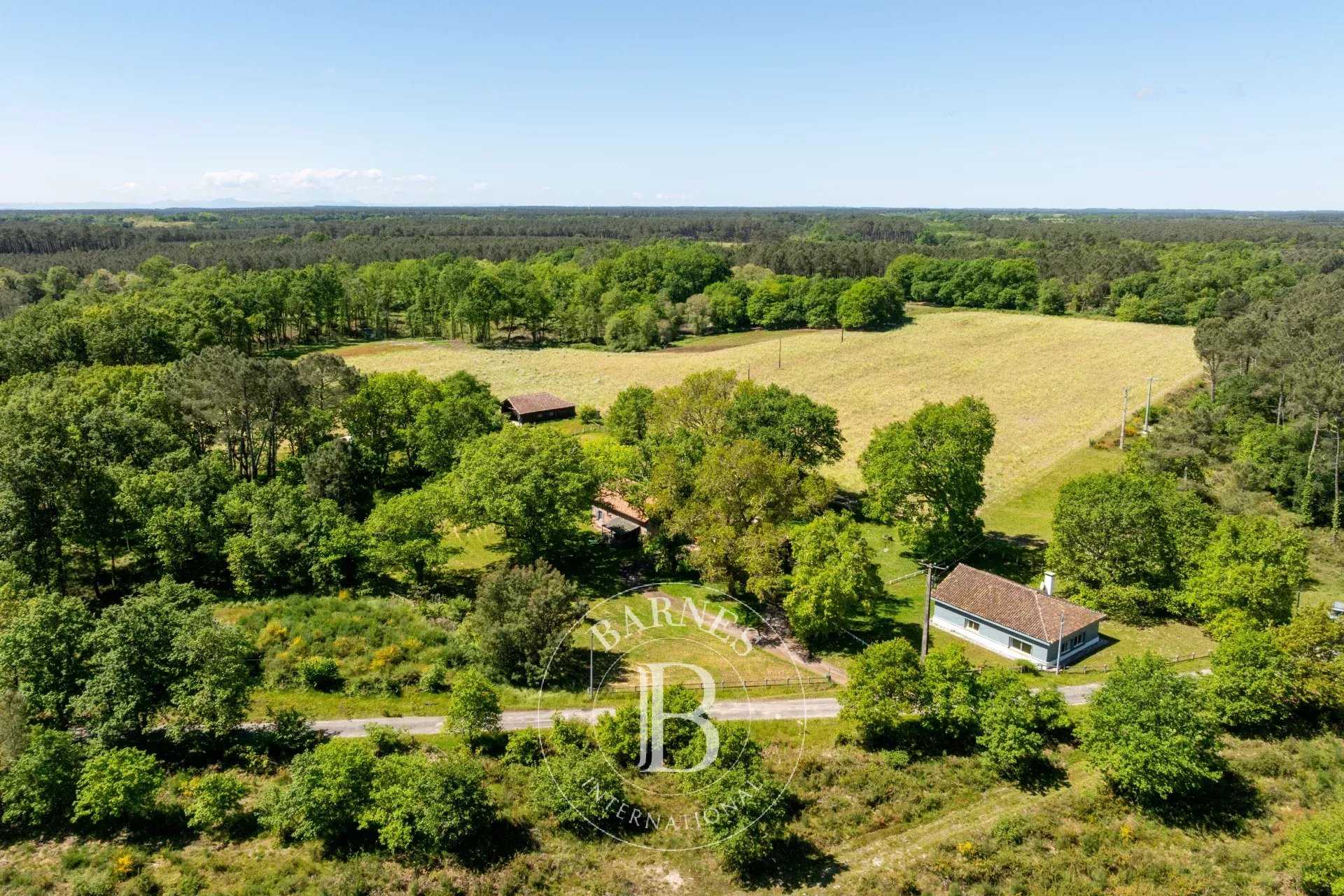 Maison Magescq  -  ref 84209948 (picture 1)
