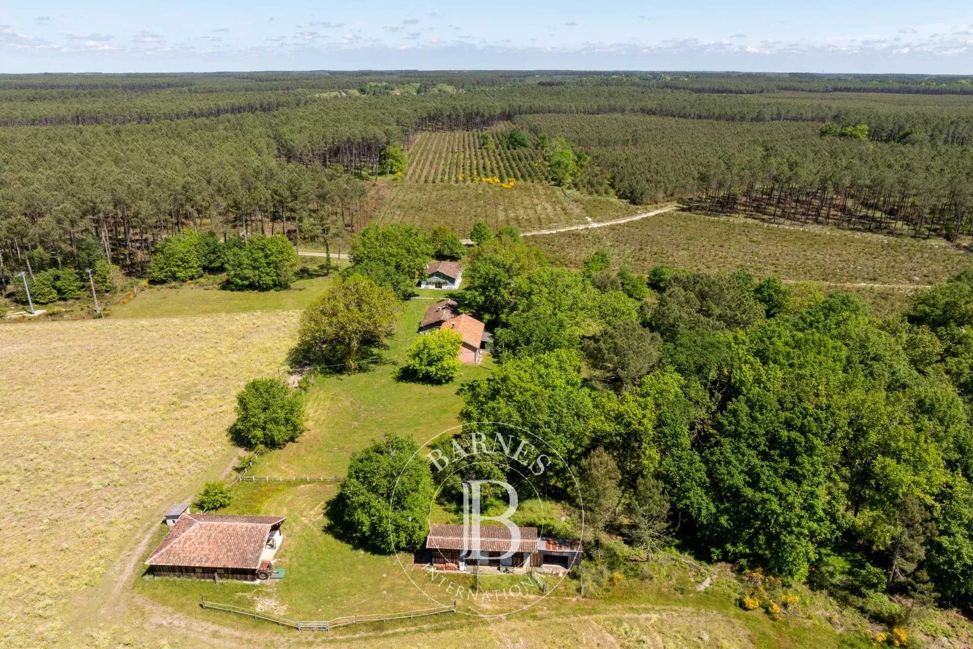 Maison Magescq  -  ref 84209948 (picture 2)