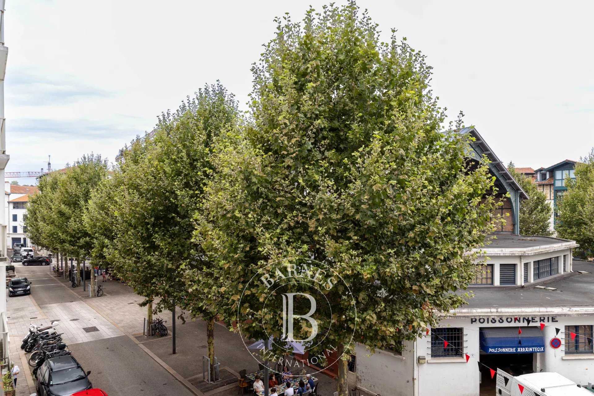 Appartement Saint-Jean-de-Luz  -  ref 83030283 (picture 1)