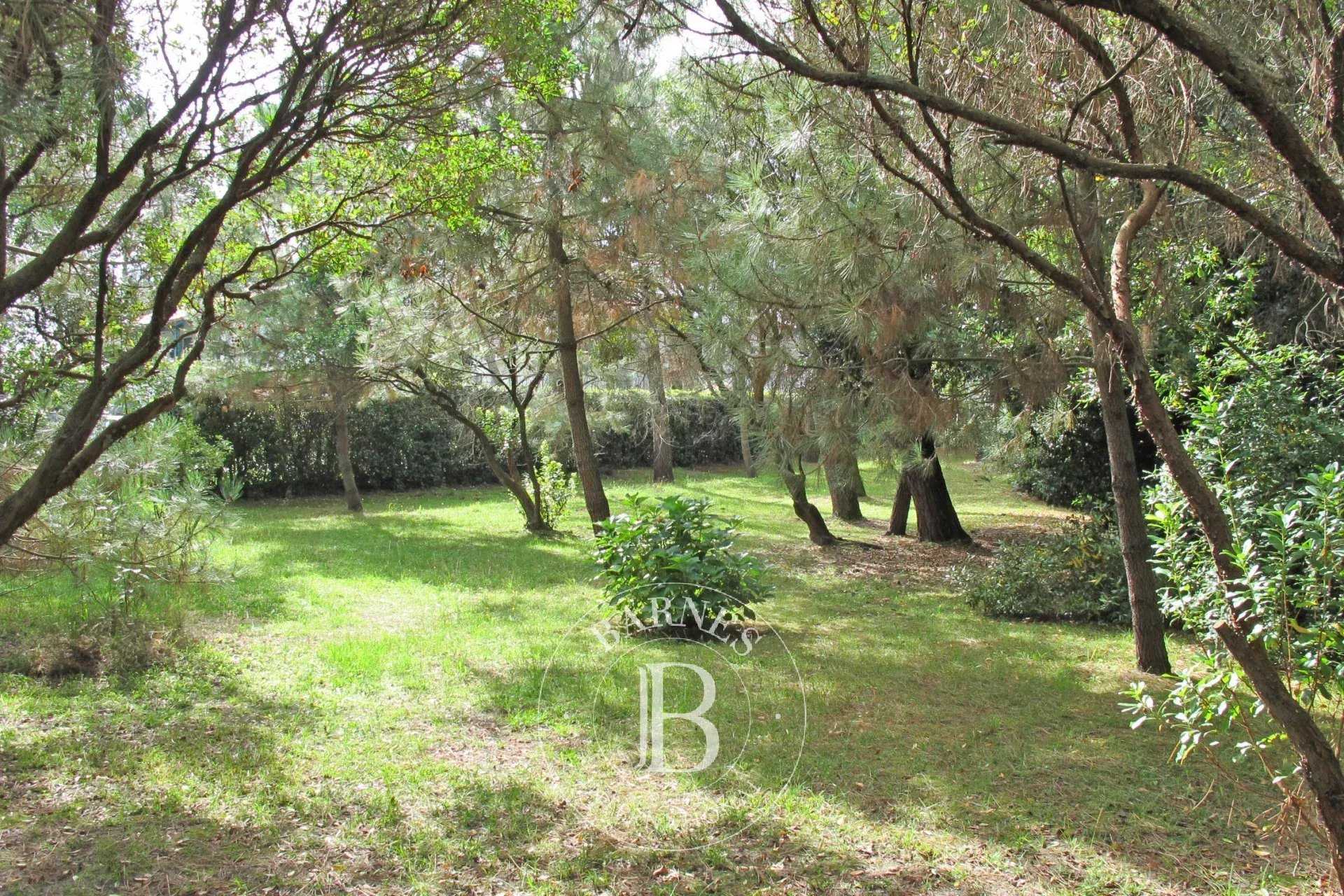 Terrain Anglet  -  ref 2705380 (picture 1)