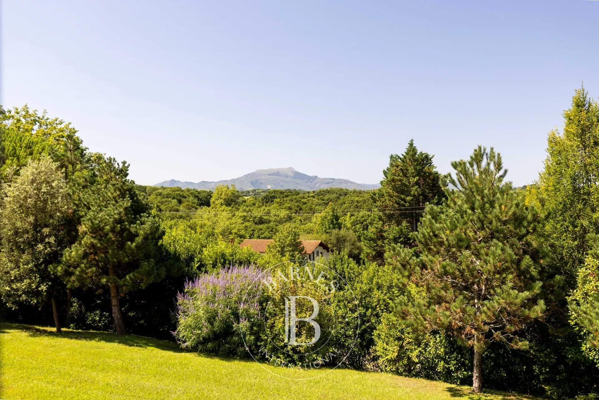 Arcangues  - Maison 9 Pi&egrave;ces 5 Chambres - picture 19