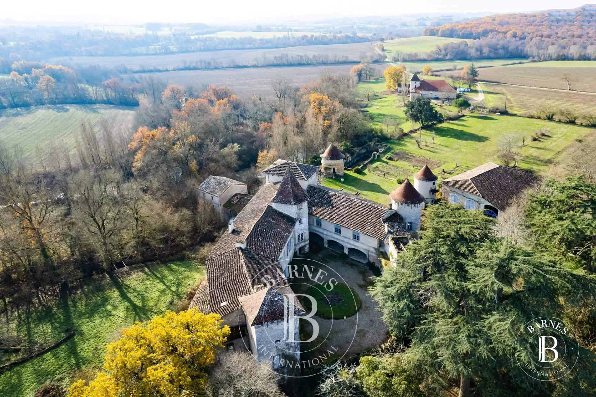 Lectoure  - Castle 9 Bedrooms - picture 2