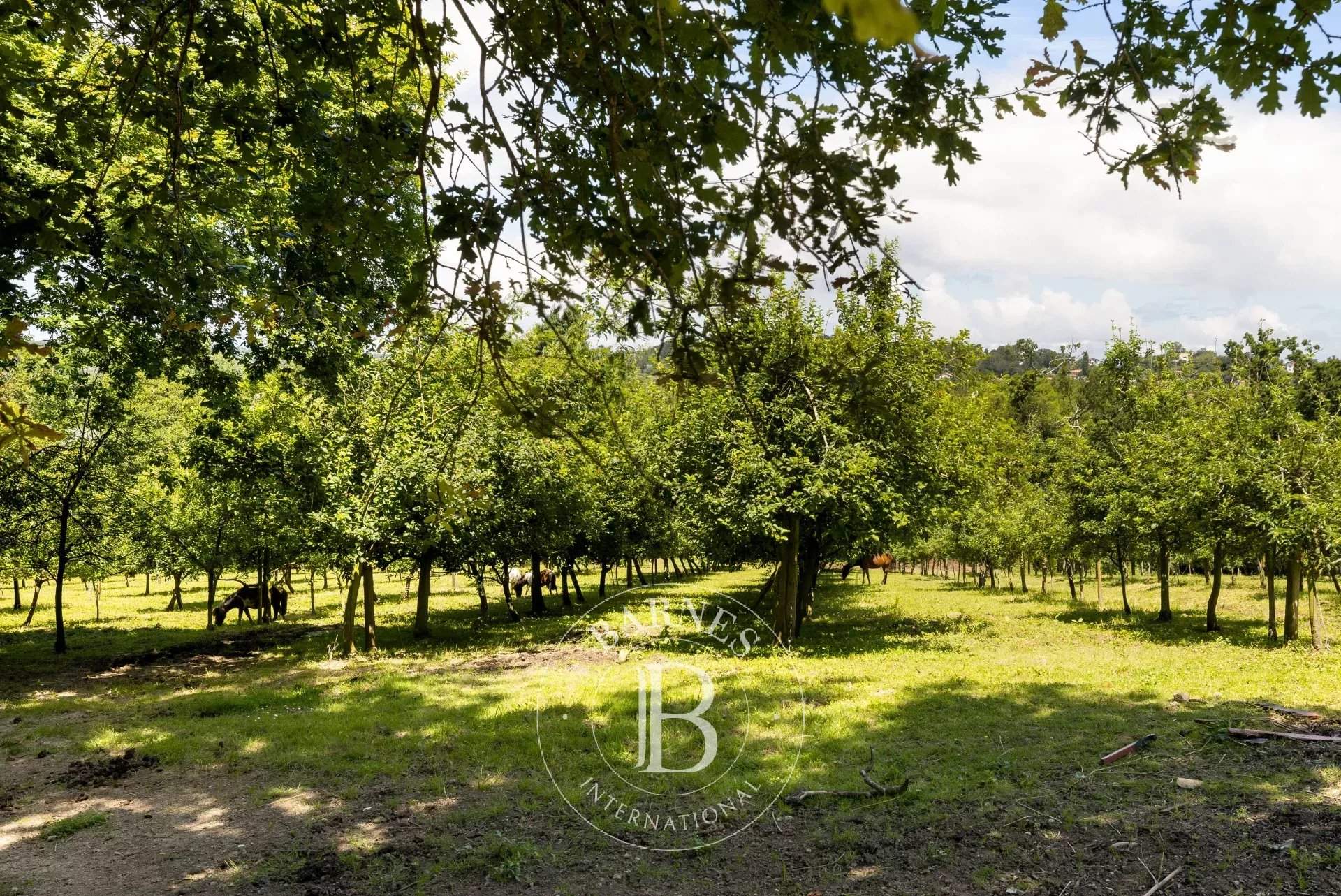 Urrugne  - House  - picture 11