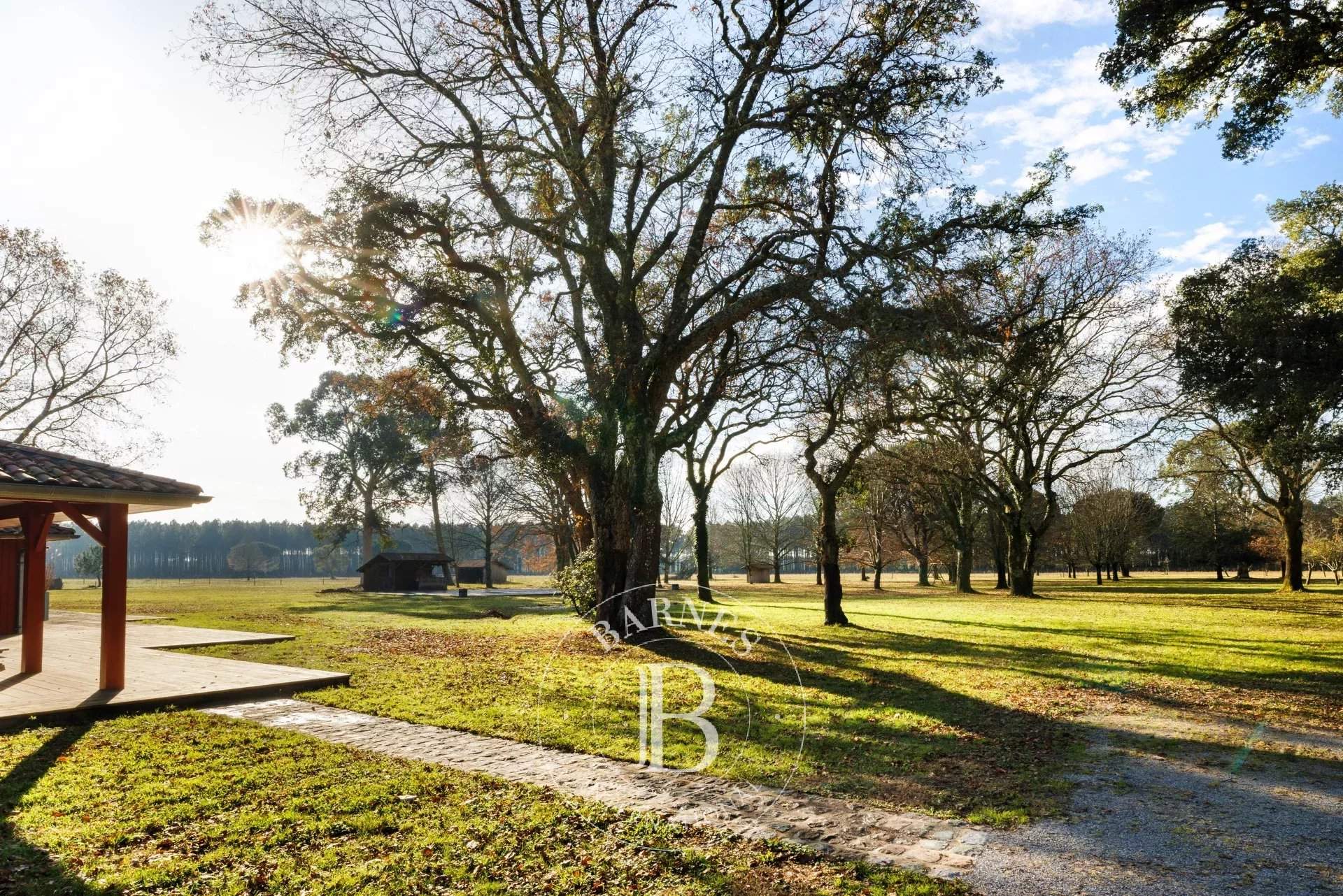 Linxe  - Maison  - picture 10