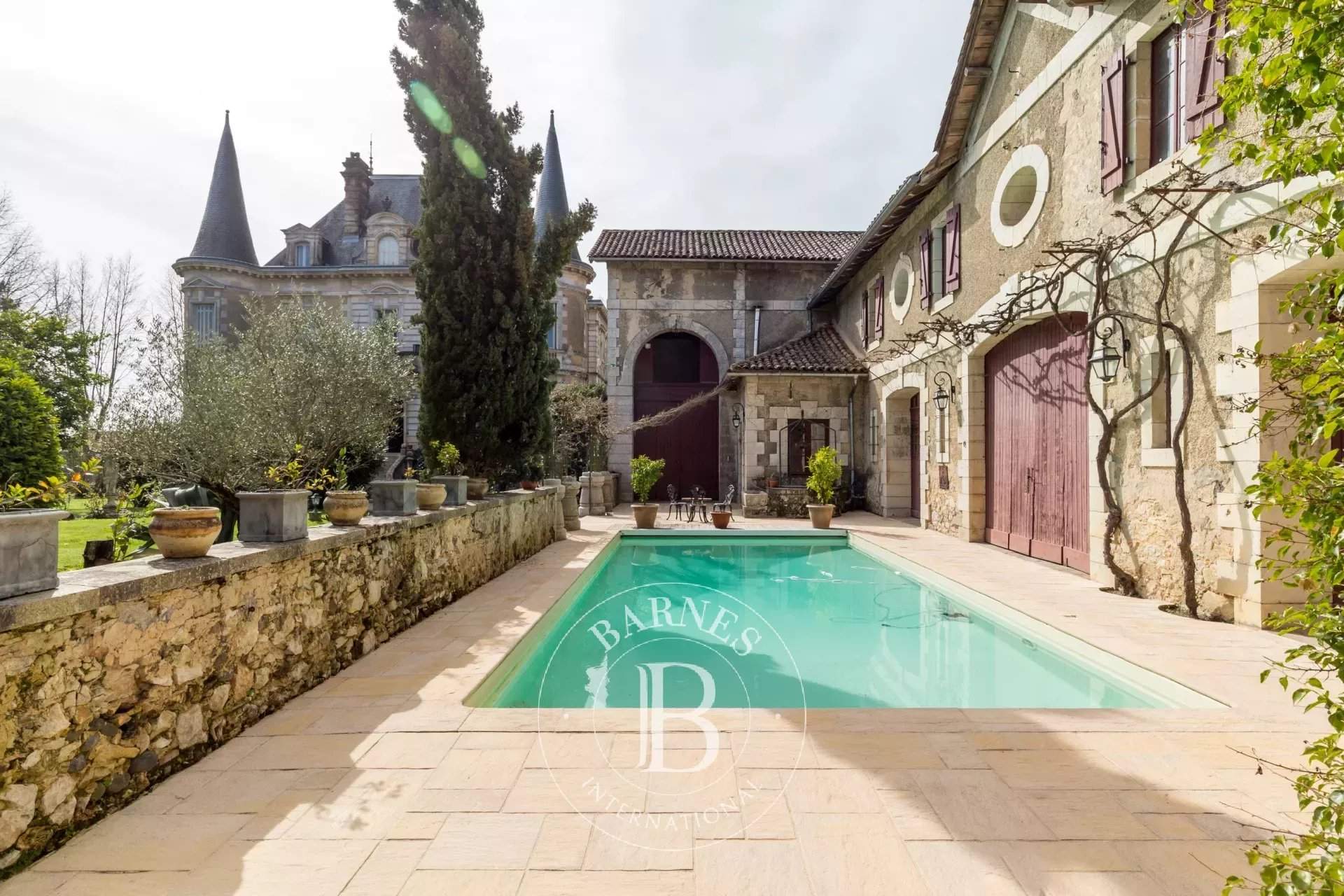 Peyrehorade  - Château 25 Pièces 14 Chambres - picture 7