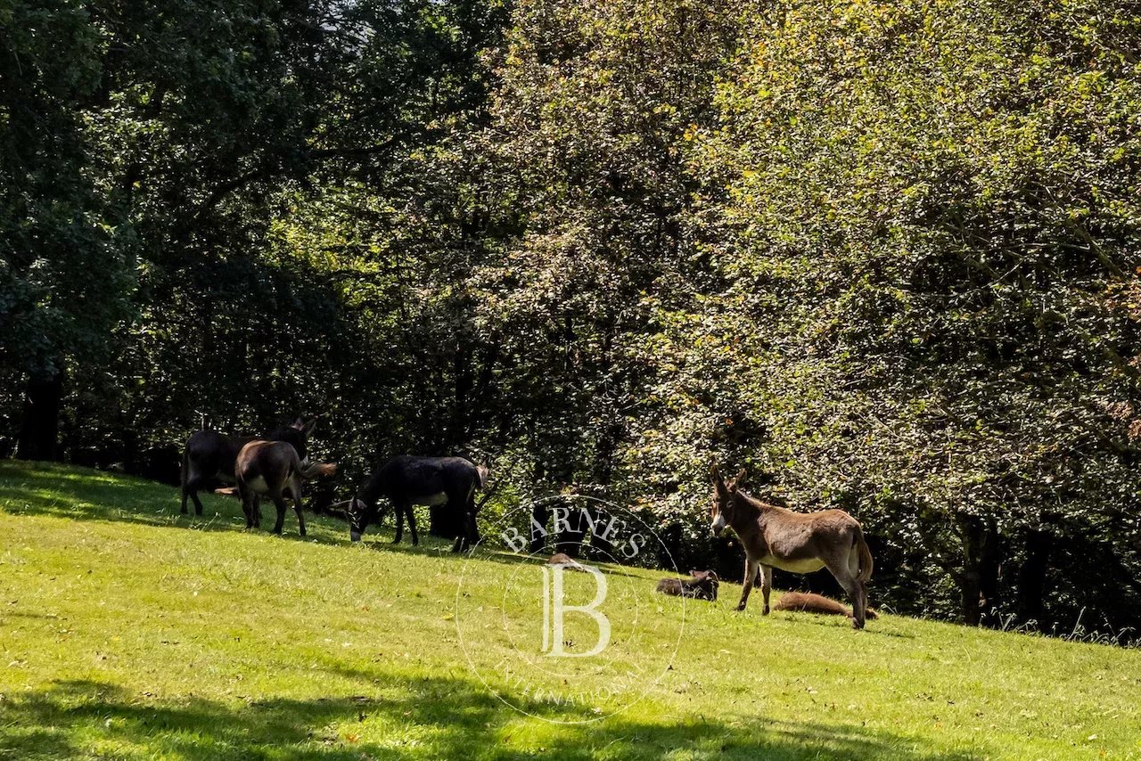 Saint-Jean-de-Luz  - House 14 Bedrooms - picture 12