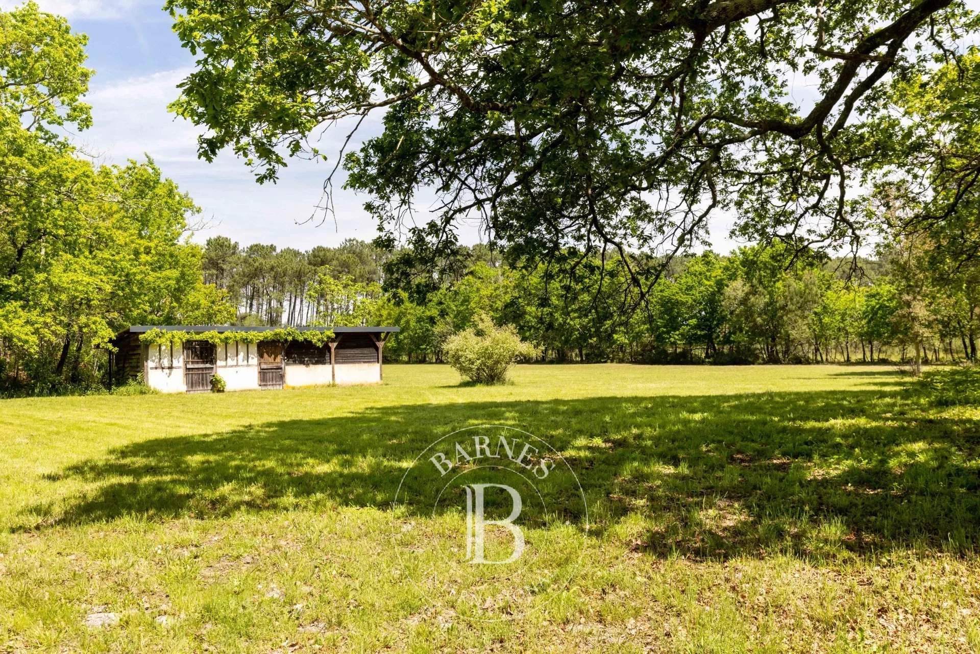 Seignosse  - Propriété 3 Pi&egrave;ces 2 Chambres - picture 5