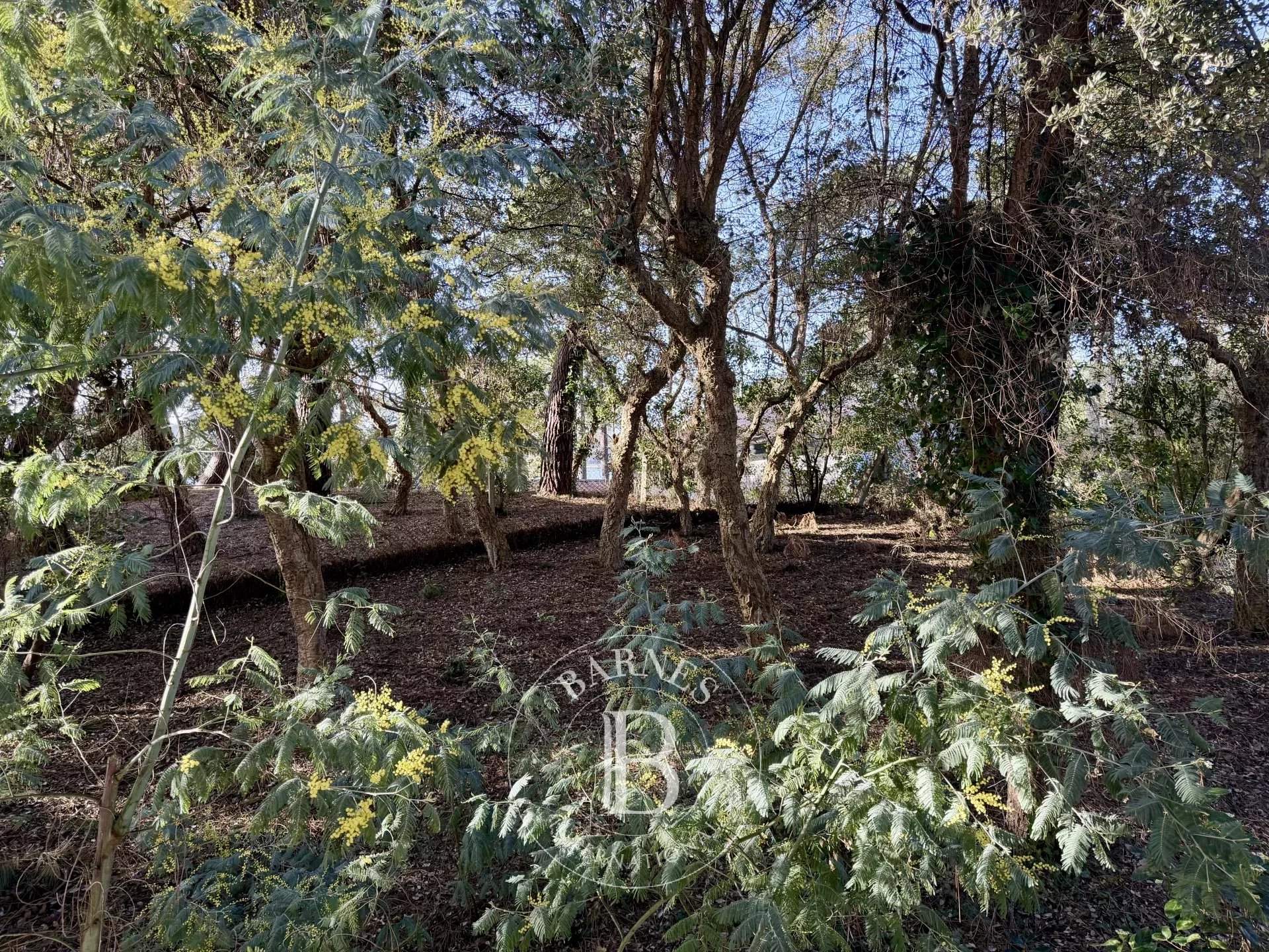 Hossegor  - Maison 4 Pi&egrave;ces 3 Chambres - picture 3