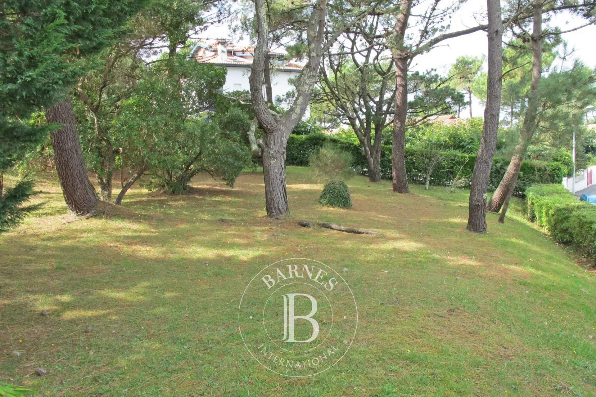 Anglet  - Terrain  - picture 7