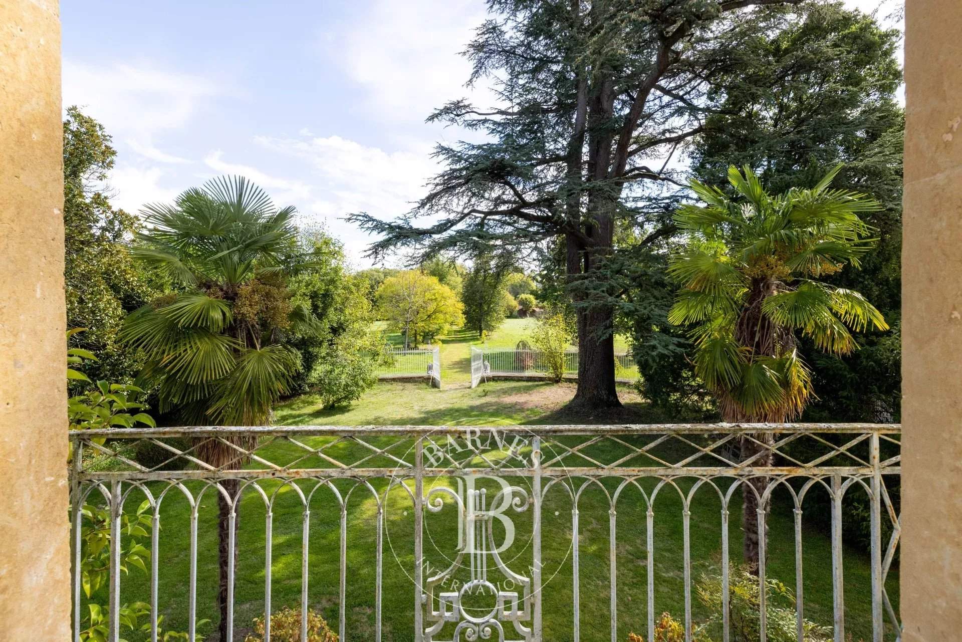 Maubourguet  - Château 19 Pièces 10 Chambres - picture 11