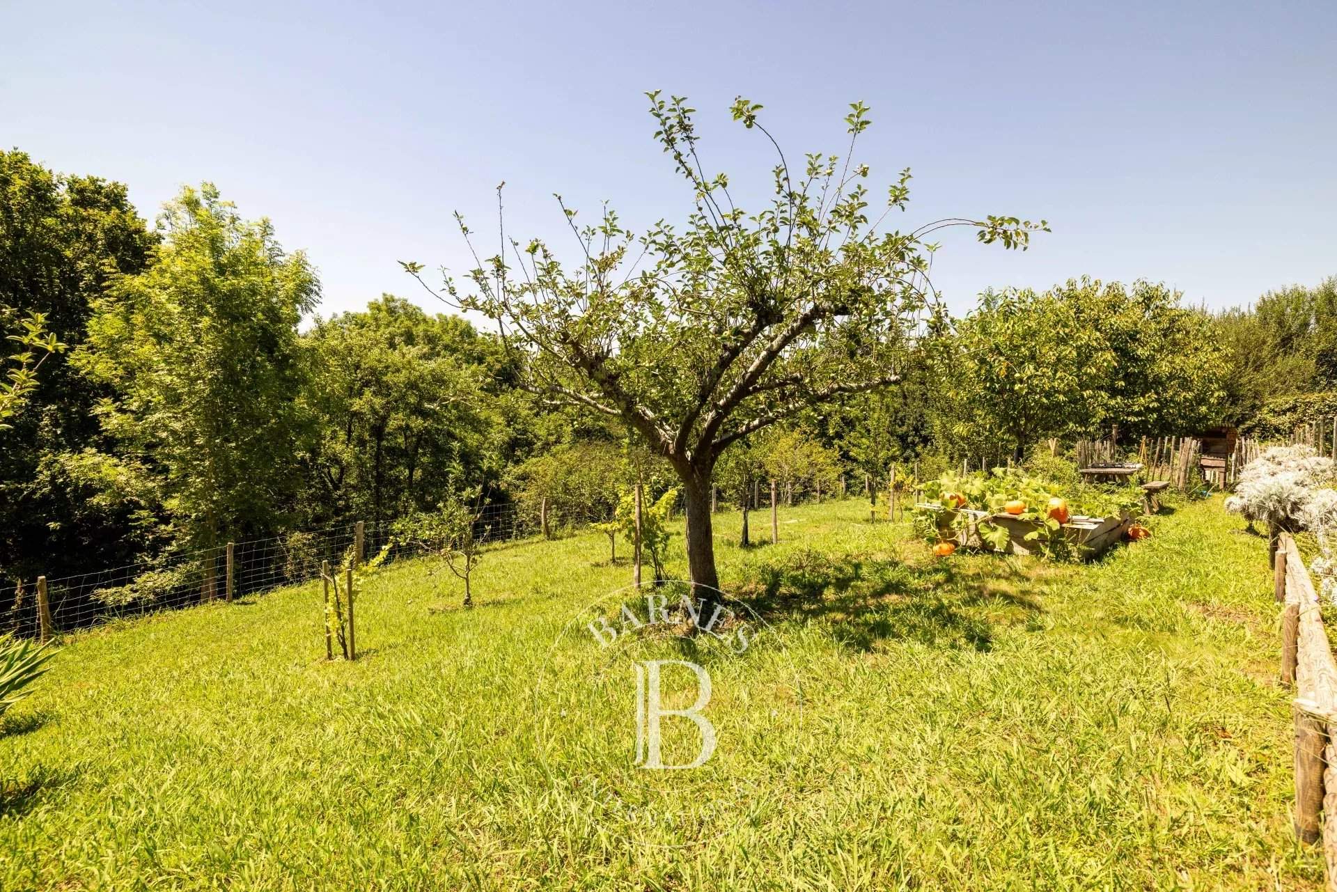 Ascain  - House 3 Bedrooms - picture 17